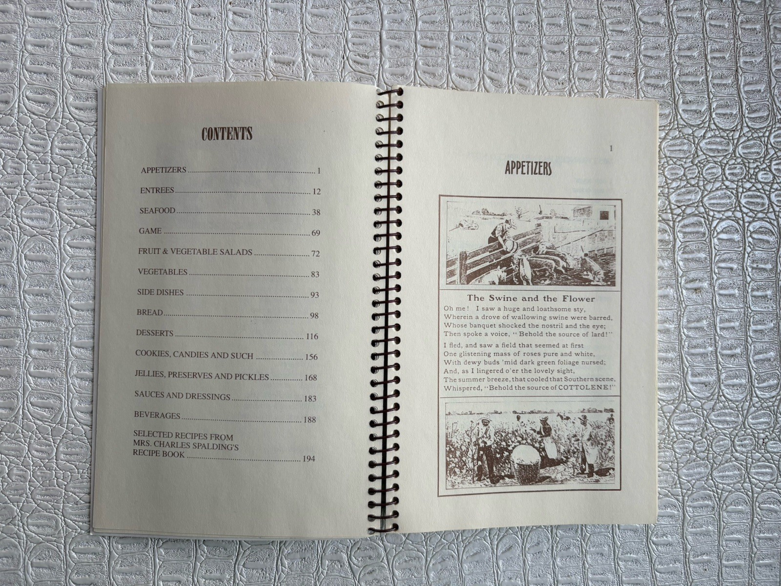VTG Ashantilly Cookbook Darien Georgia Wire Spiral Bound Haynes Family 200 Pages