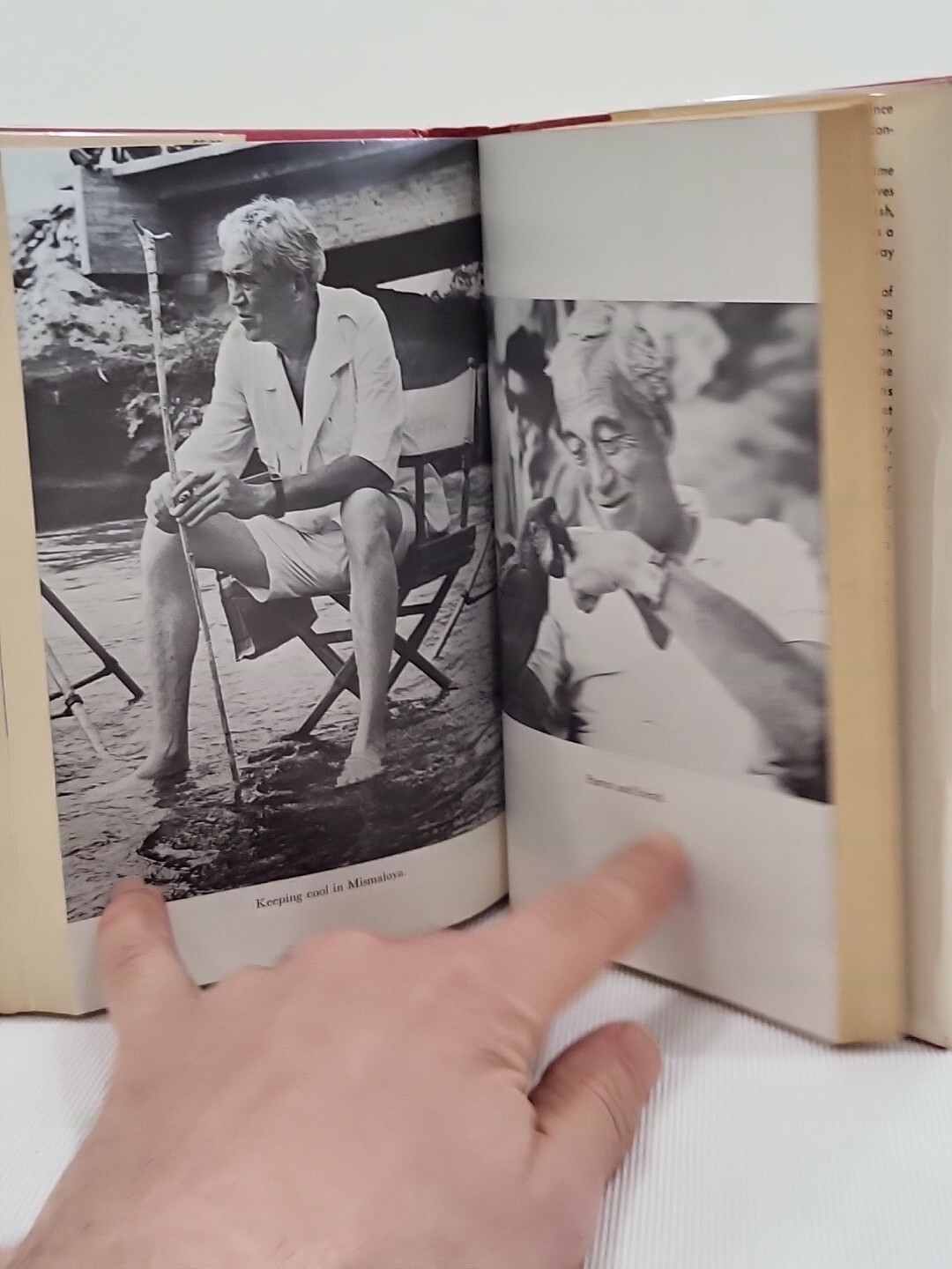 John Huston: King Rebel by William F. Nolan Hardcover Dust Jacket 1965