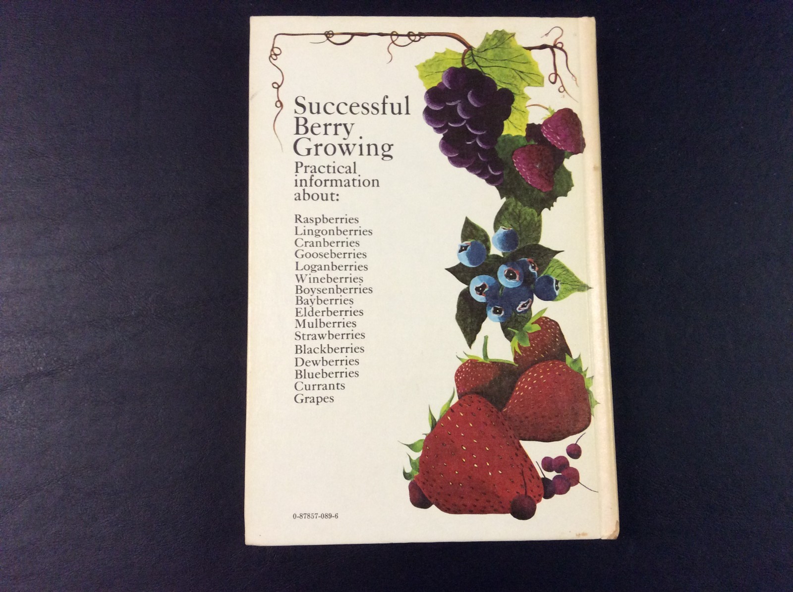 Successful Berry Growing Gene Logsdon Hardcover 1974 200 pages (Very Good)