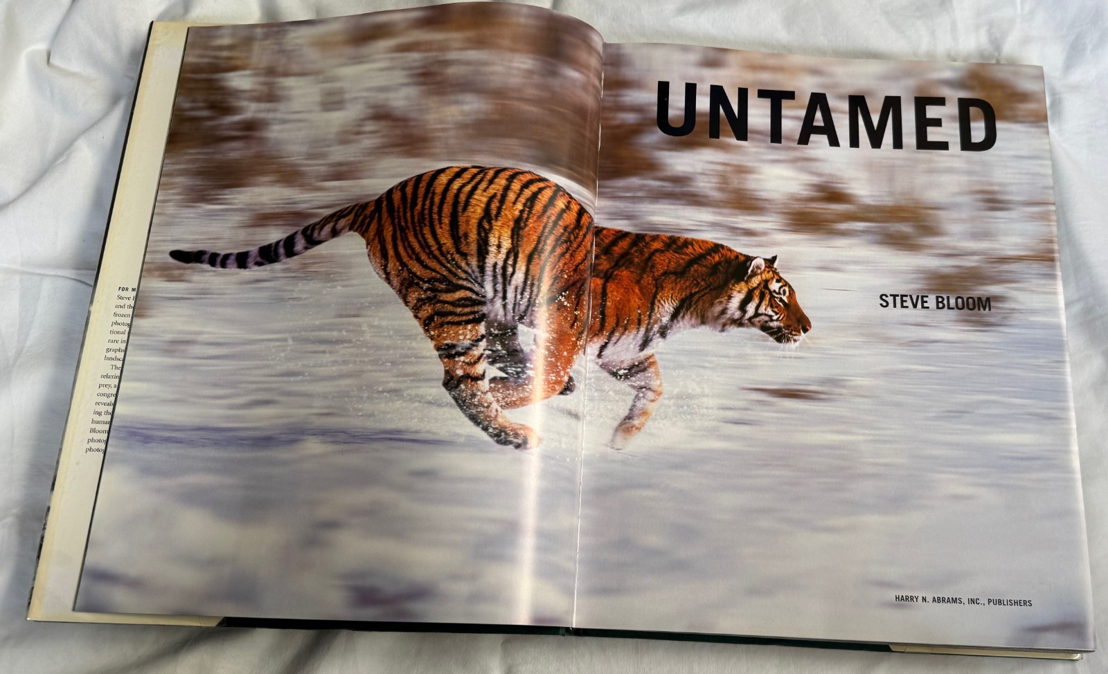 Untamed by Steve Bloom – WILD PHOTOS 2004 Hardcover, ex-library 14.6×11.6×1.5 in