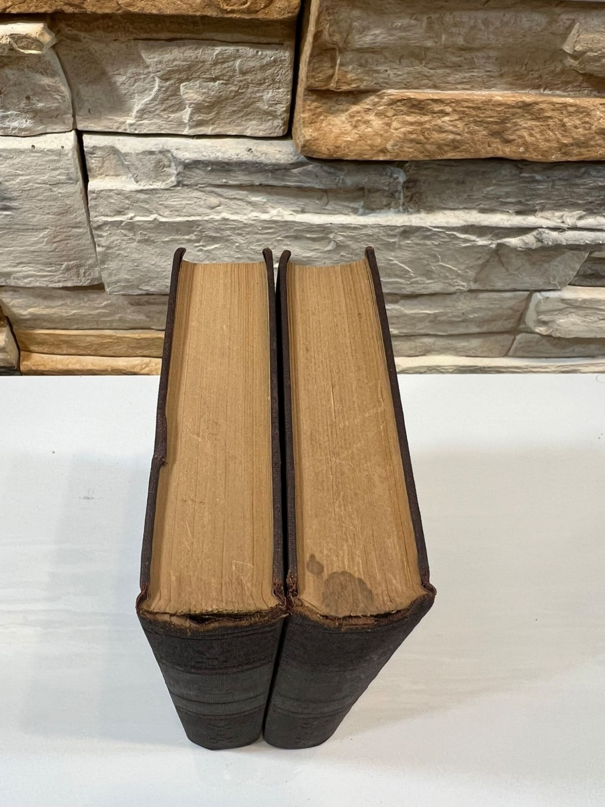 Alexandre Dumas Ange Pitou or Taking the Bastile Vol 1 & 2 Historical Fiction