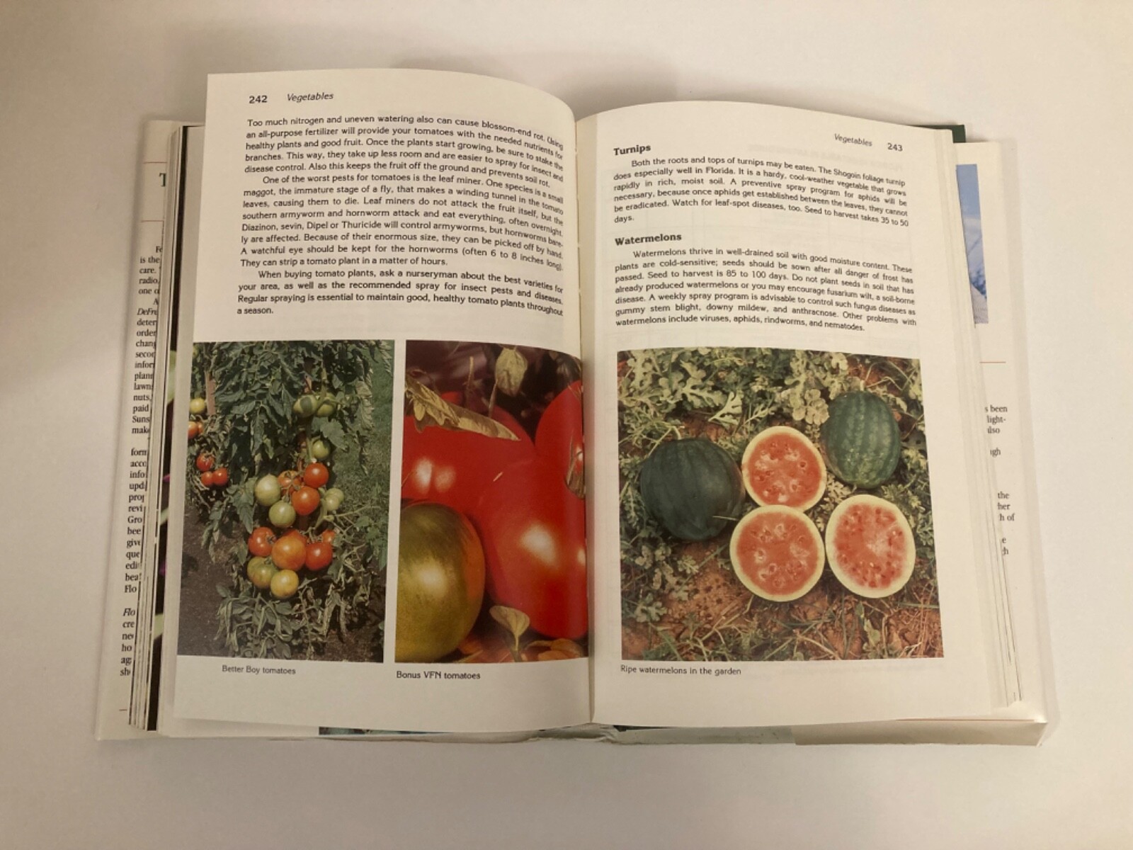 FL Complete Guide to Florida Gardening Vintage 1987 Stan DeFreitas