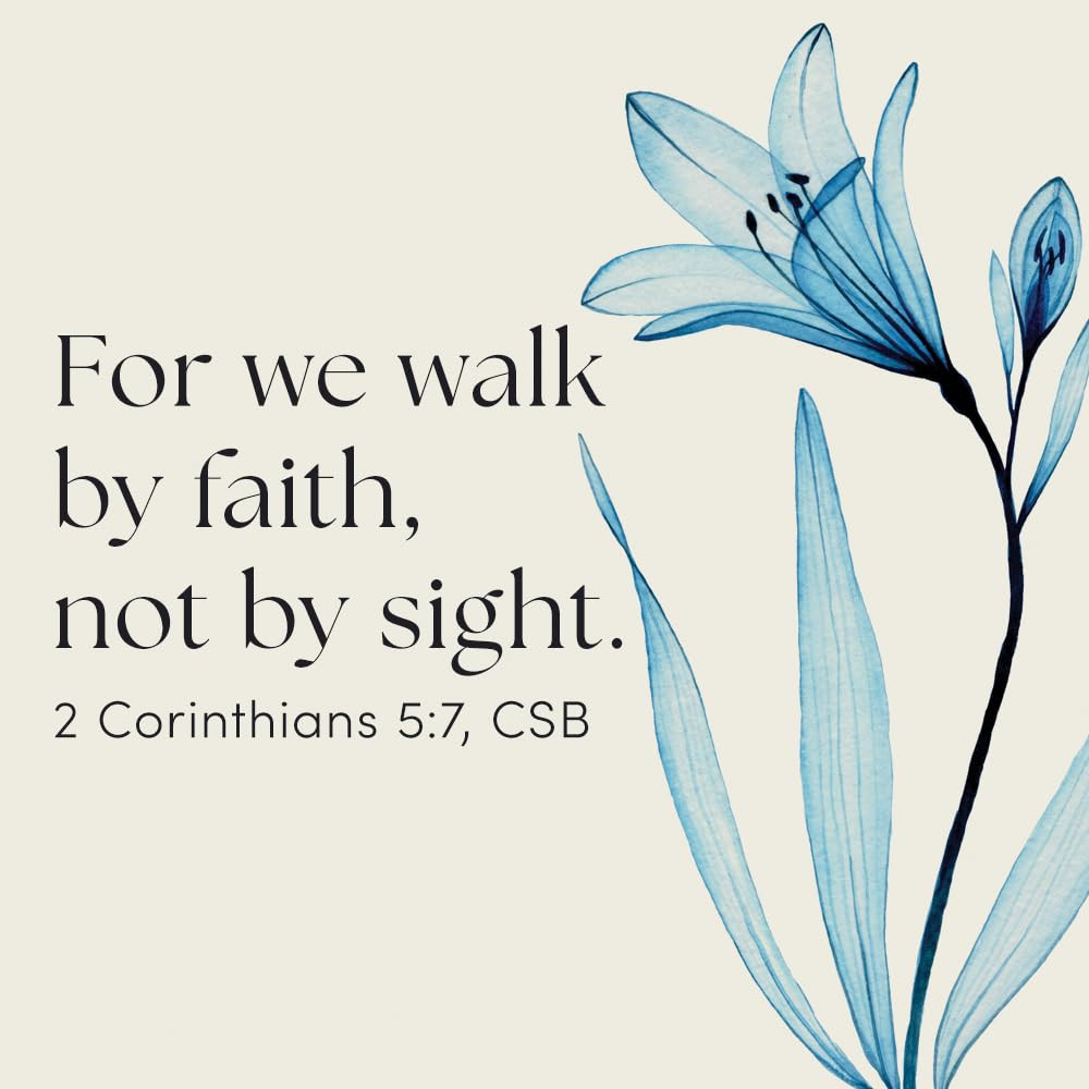 Heaven – Bible Study for Women with Video Access: When Faith Becomes Sight