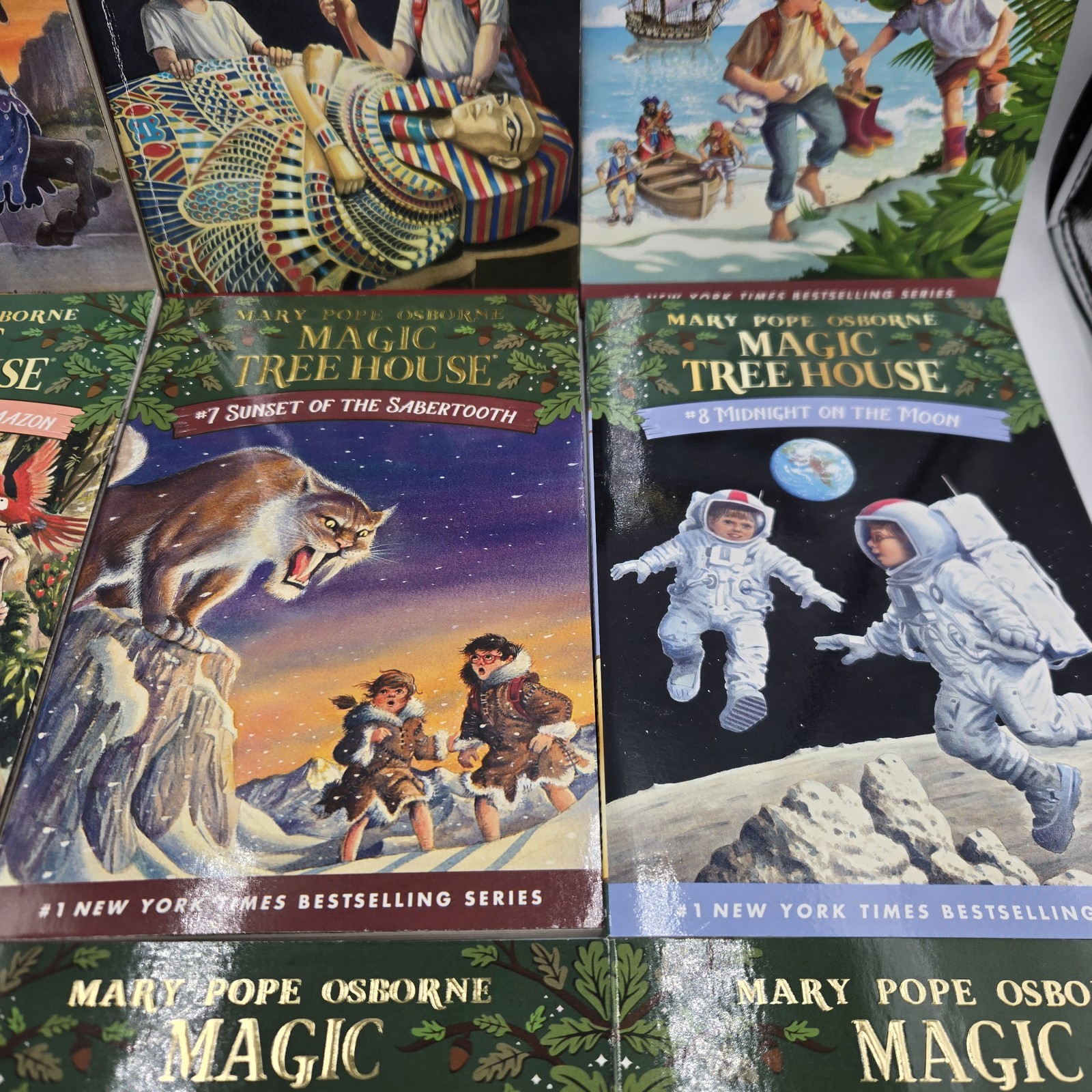 Magic Tree House 12 Book Set Books 1-12