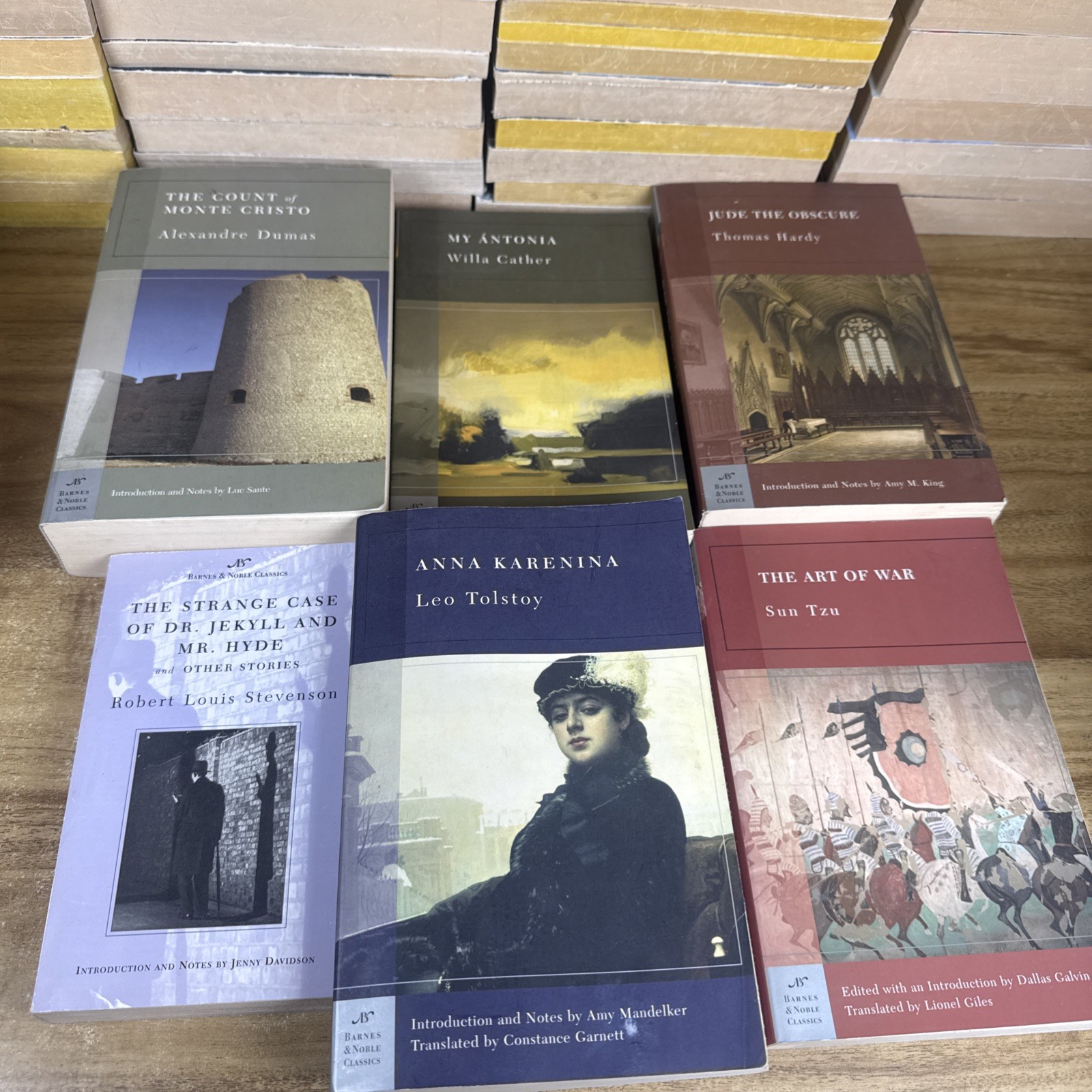 Lot of 10 BARNES & NOBLE CLASSICS Paperbacks 1 Smaller Tolstoy Sun Tzu Hardy