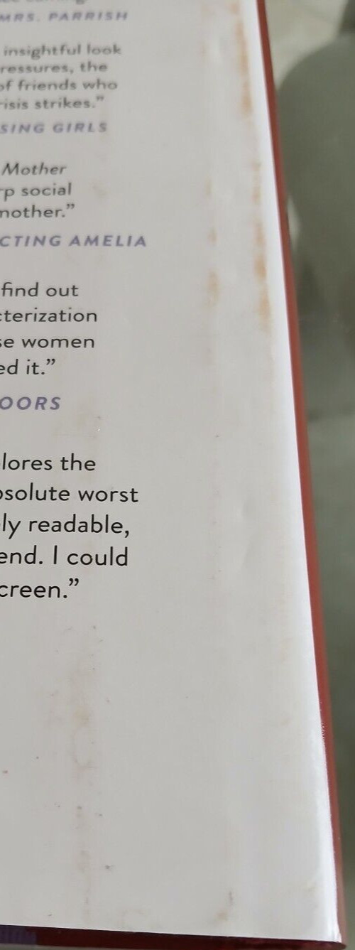 The Perfect Mother By Aimee Molloy Hardcover 317 Pages