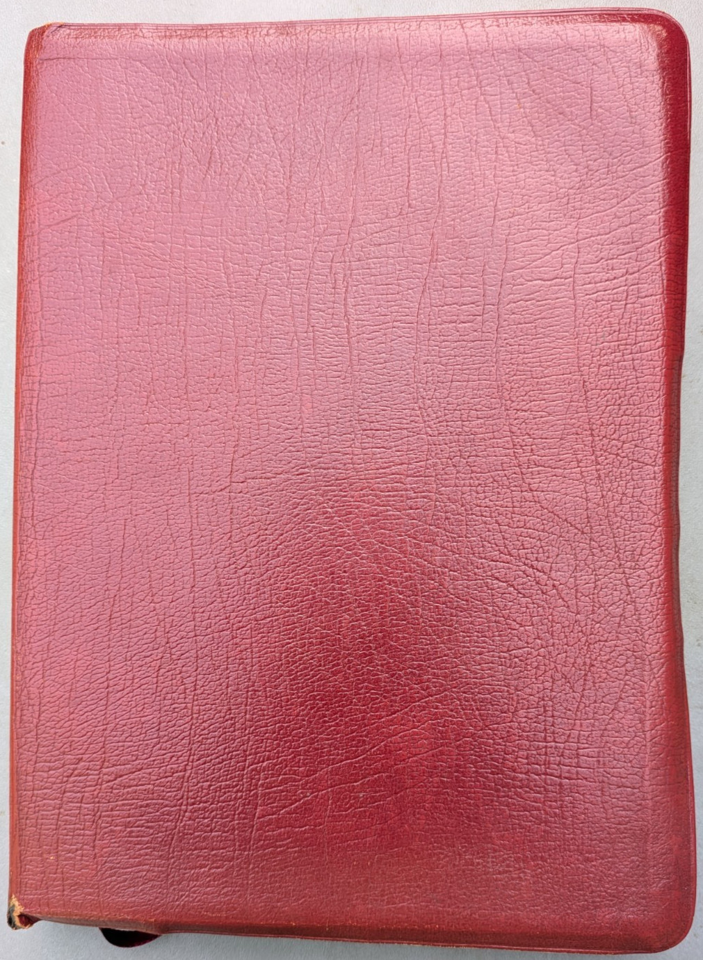 NEW SCOFIELD REFERENCE EDITION Red Cowhide Leather Bible KJV 1969 Oxford