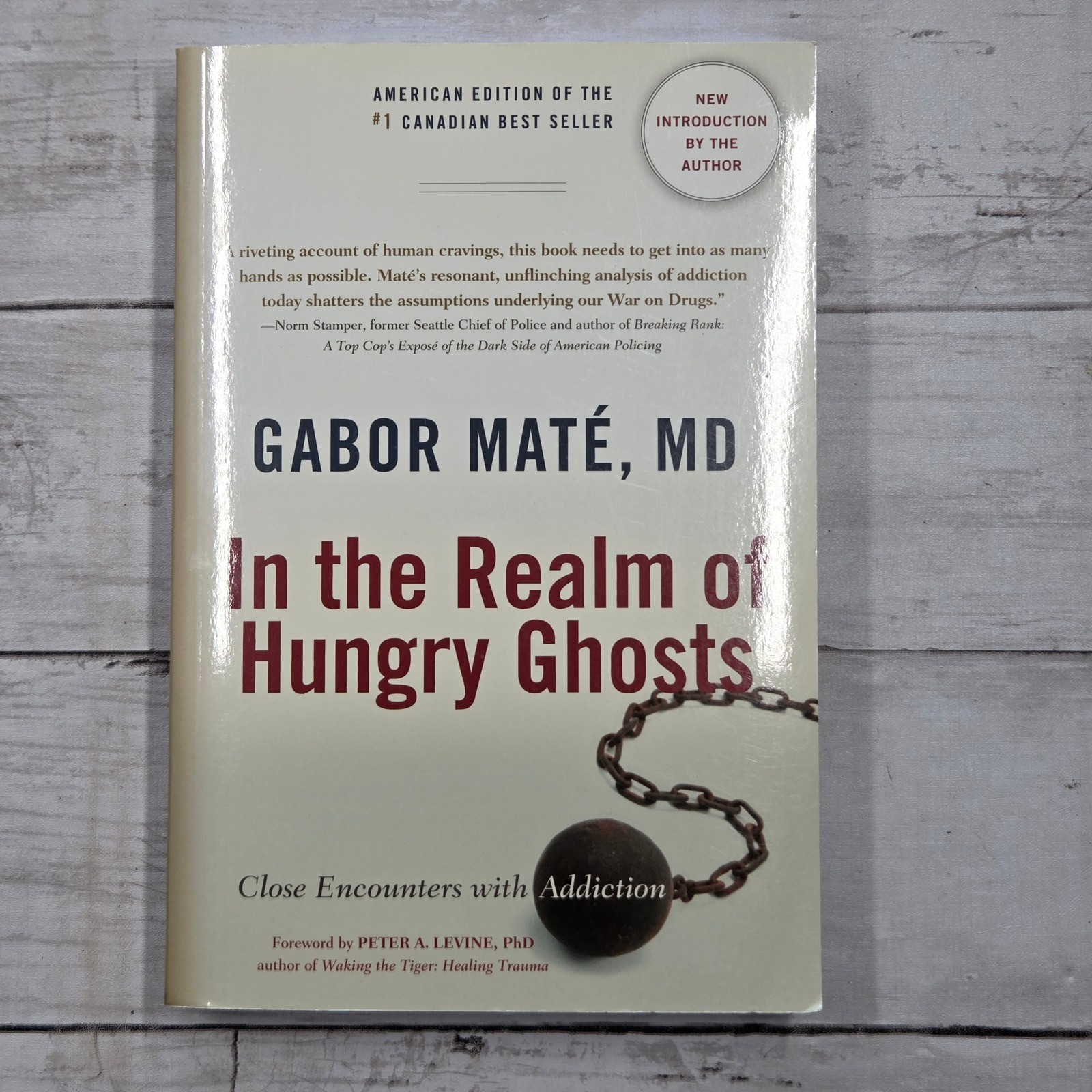 Gabor Maté In the Realm of Hungry Ghosts Book Psychology Non-Fiction Paperback