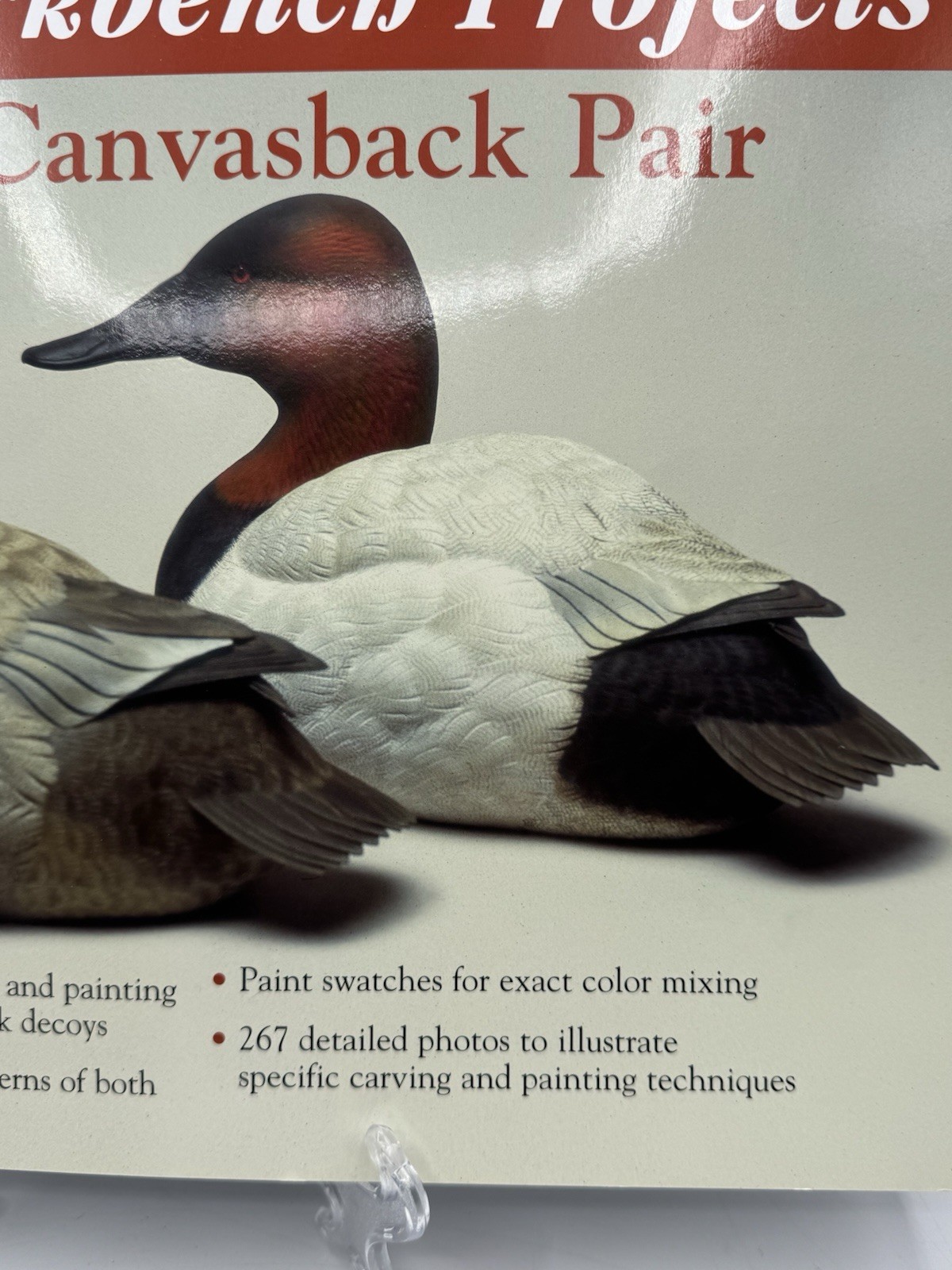 Workbench Projects DECORATIVE CANVASBACK PAIR Wildfowl Carving Magazine