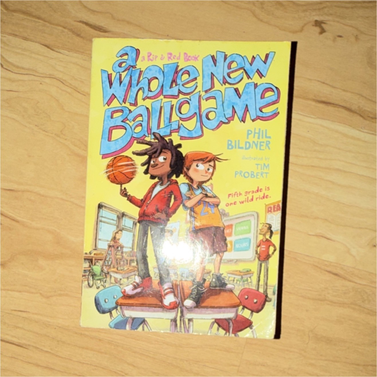 Square Fish A Whole New Ballgame Phil Bildner Paperback Ages 9-12 Fiction
