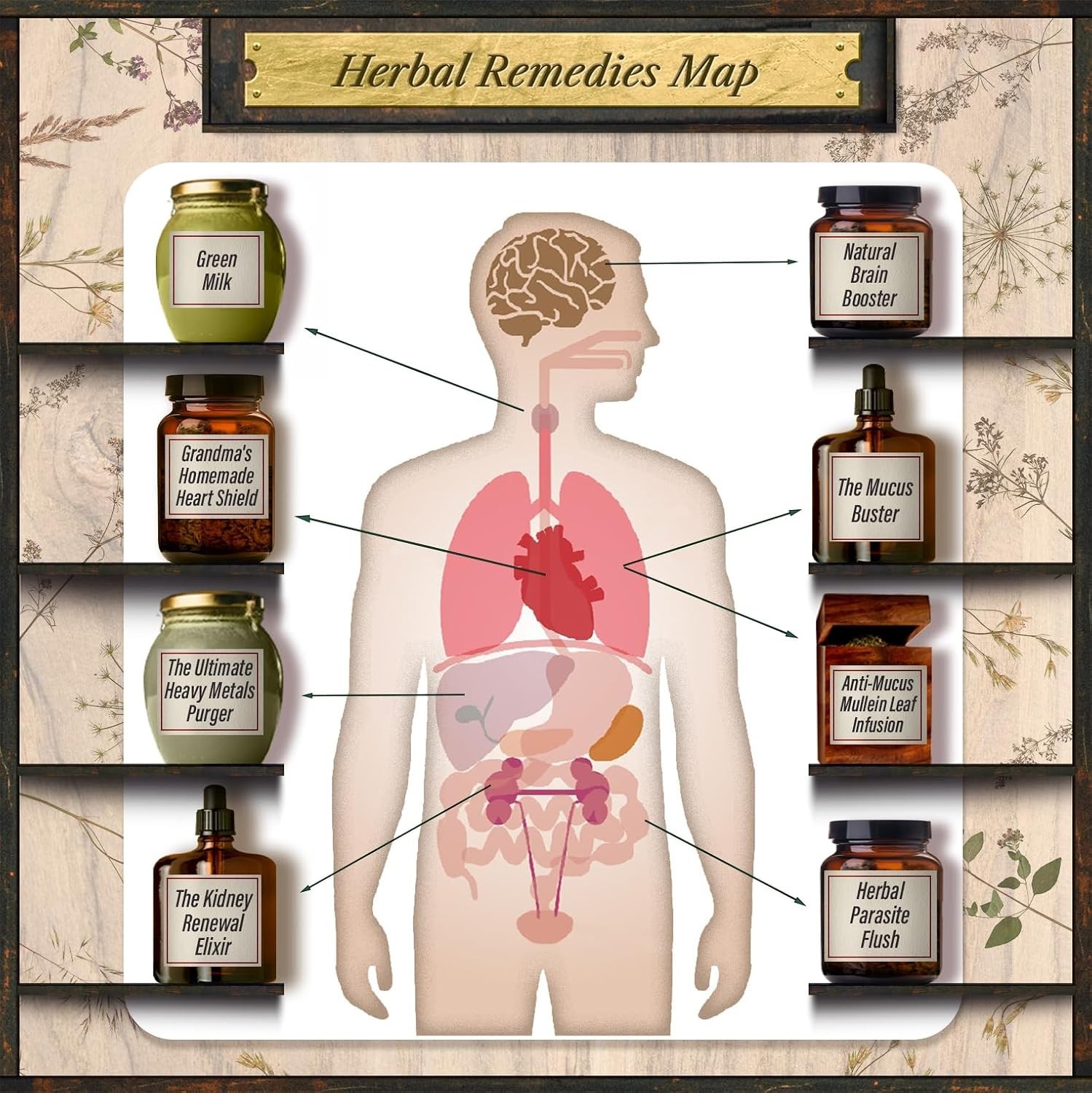 Forgotten Home Apothecary (paperback with color pictures)