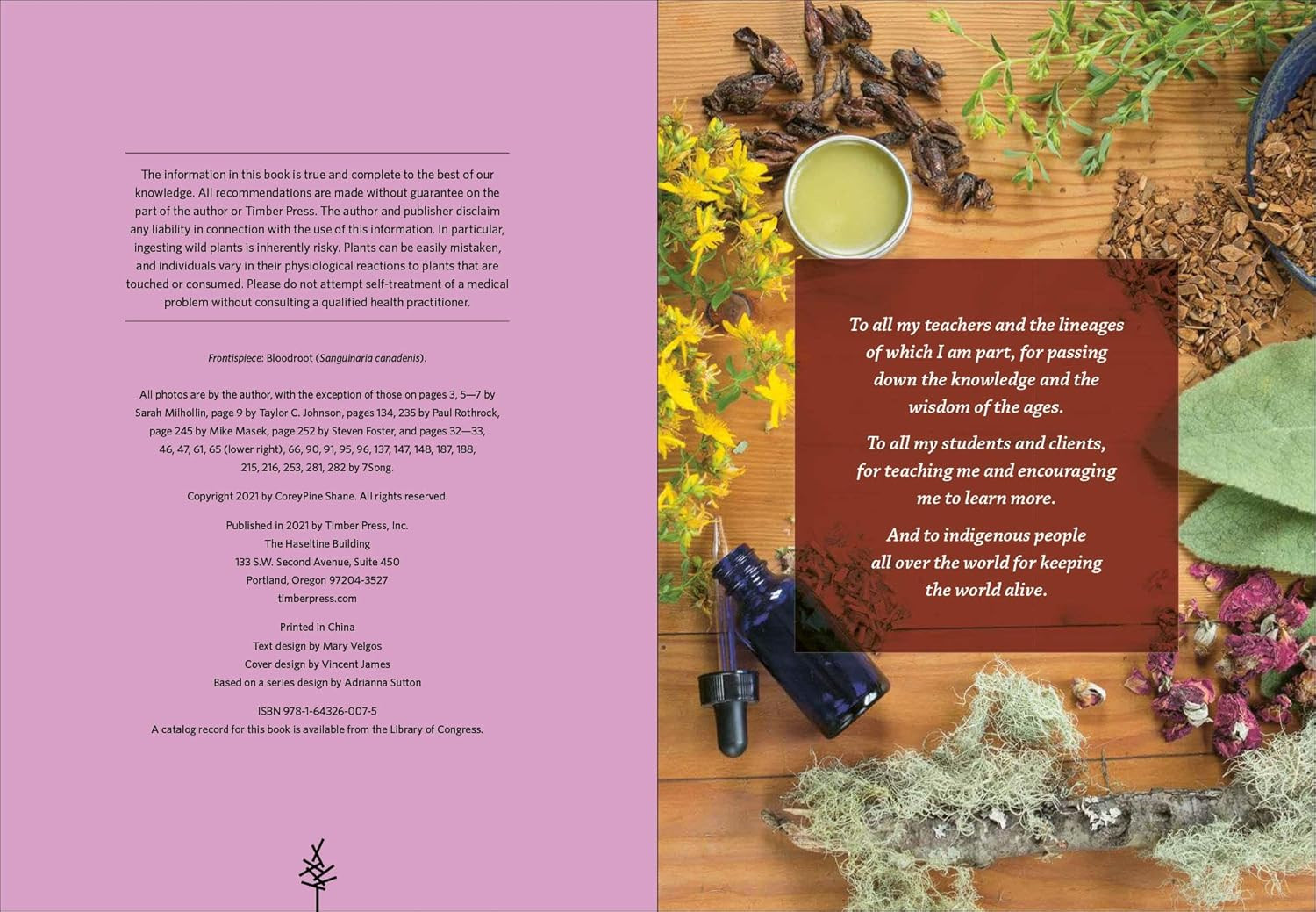 Southeast Medicinal Plants: Identify, Harvest, and Use 106 Wild Herbs for Health