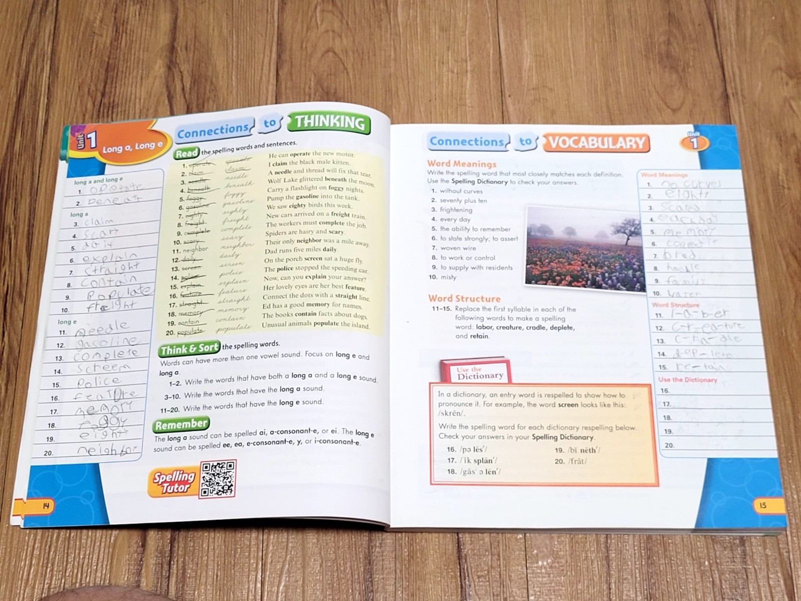 🔥 Spelling Connections Grade 5 (Paperback) Zaner-Bloser 336 Pages