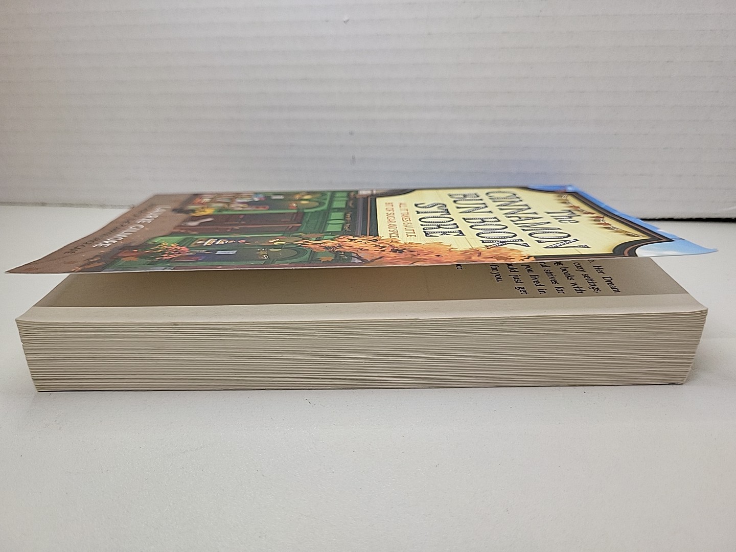The Cinnamon Bun Bookstore by Laurie Gilmore Paperback