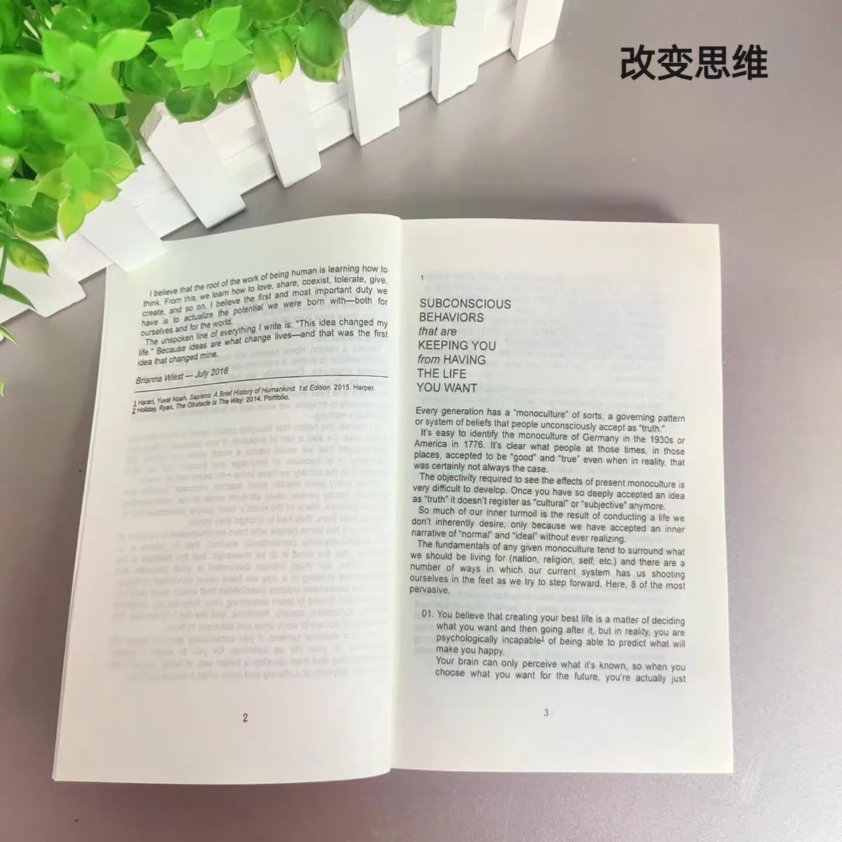 101 Essays That Will Change the Way You Think by Brianna Wiest Free Ship ⭐⭐⭐⭐⭐