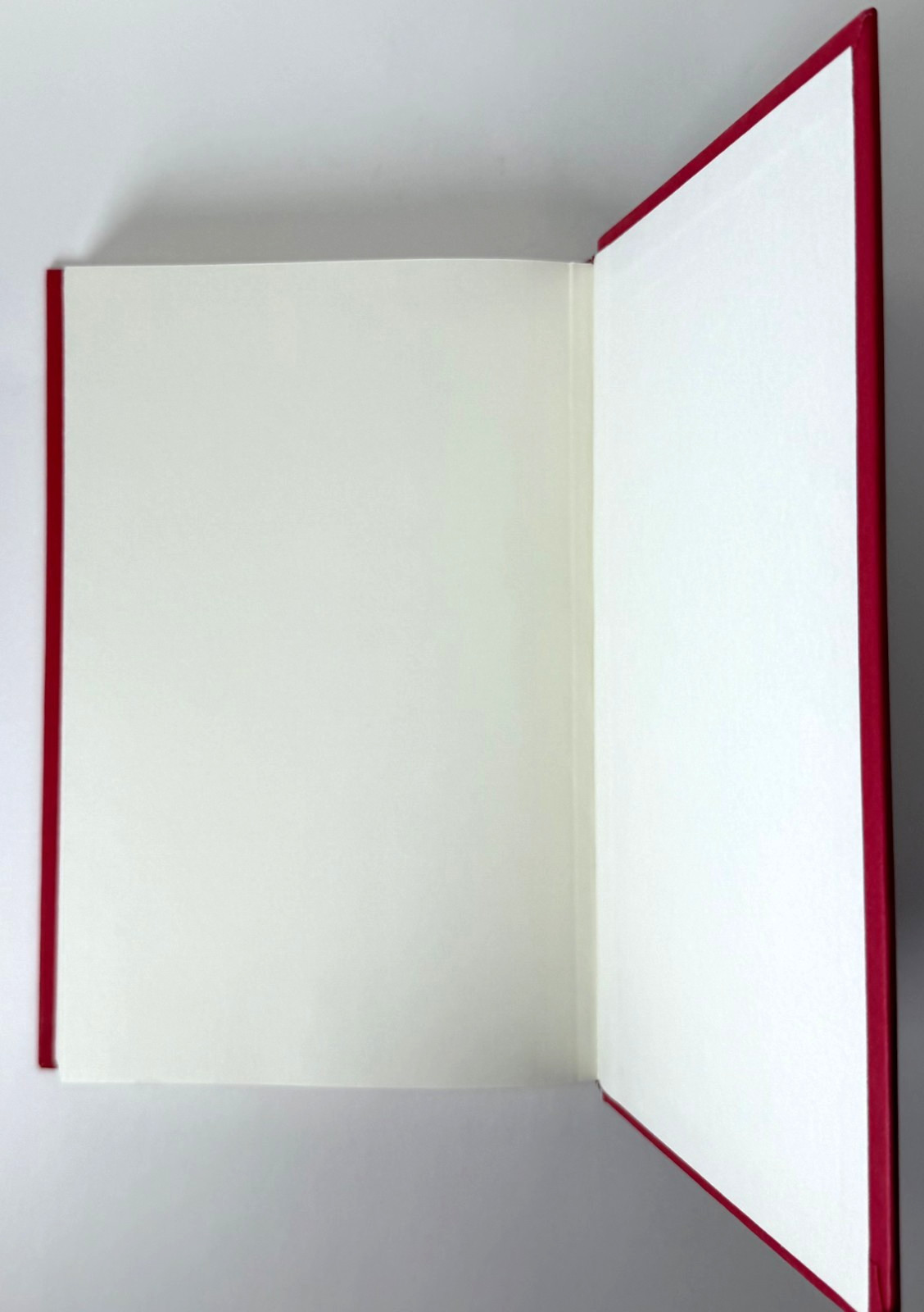 Angel Down (Pulitzer) Daniel Kraus 2025 1st ed 2nd print in Mylar, Brand new