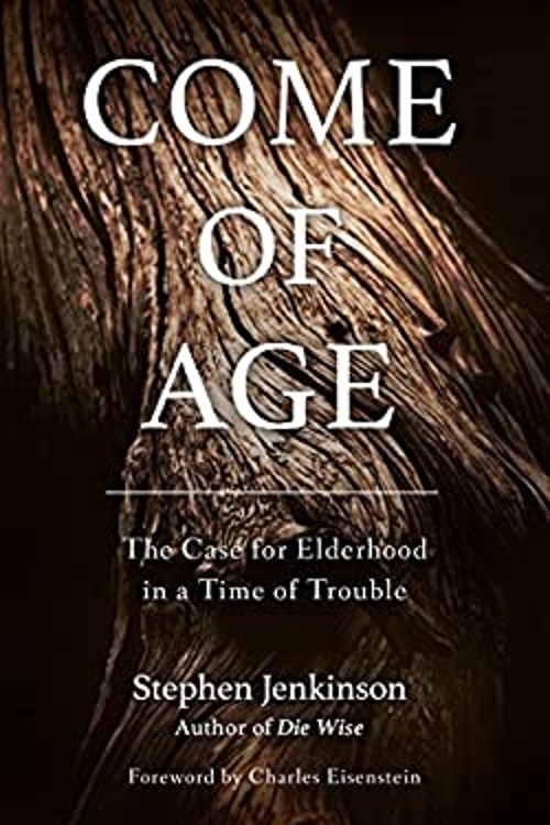 Come of Age : The Case for Elderhood in a Time of Trouble Stephen