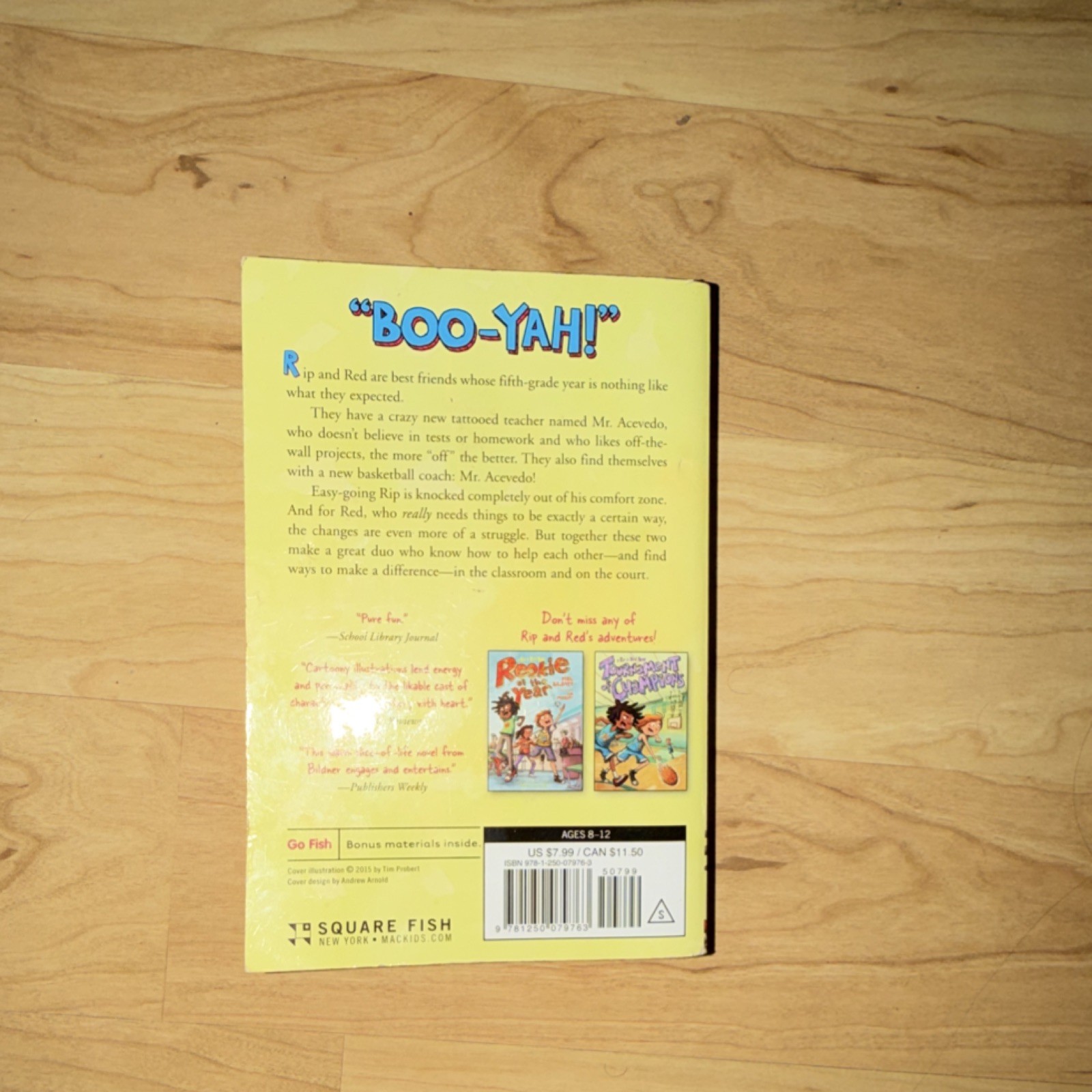 Square Fish A Whole New Ballgame Phil Bildner Paperback Ages 9-12 Fiction