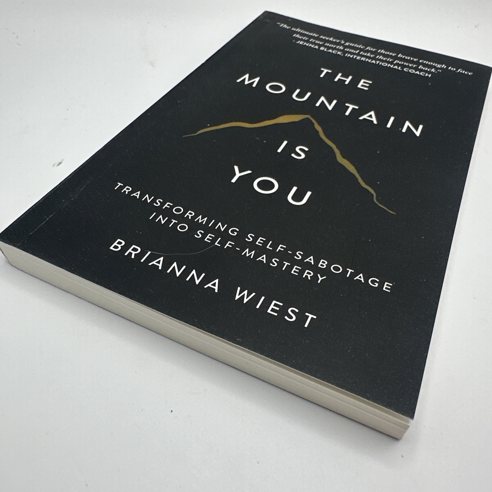 The Mountain is You By Brianna Wiest USA Stock Premium Quality Free Shipping
