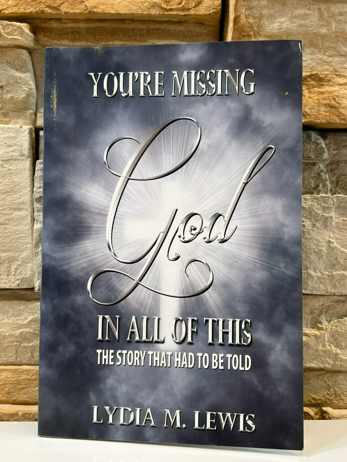 You’re Missing God in All of This by Lydia M. Lewis 2013 PB Christian Story Book