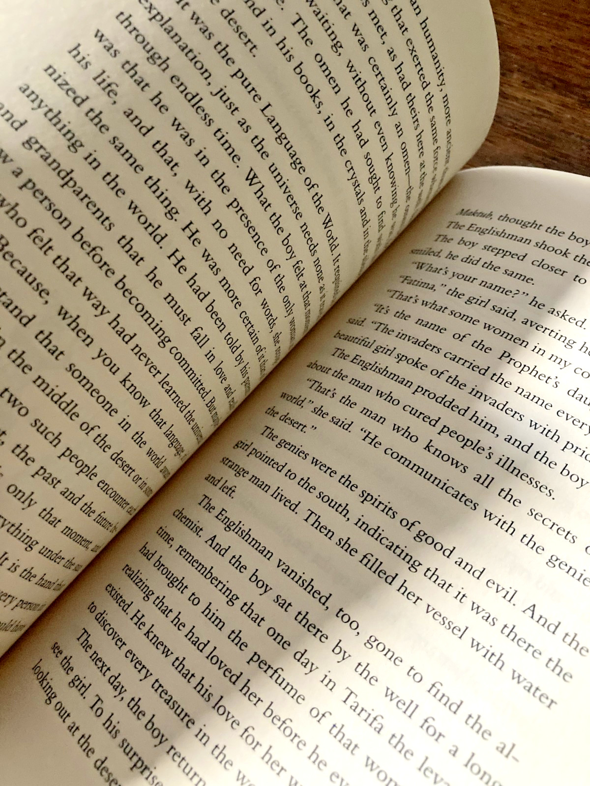 The Alchemist by Paulo Coelho (2014, Paperback, 25th Anniversary Edition)
