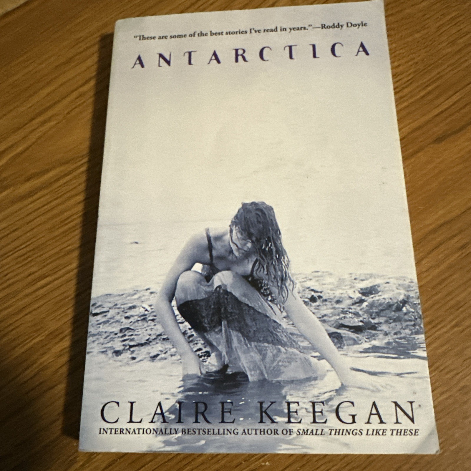 Antarctica by Claire Keegan (2024, Trade Paperback)