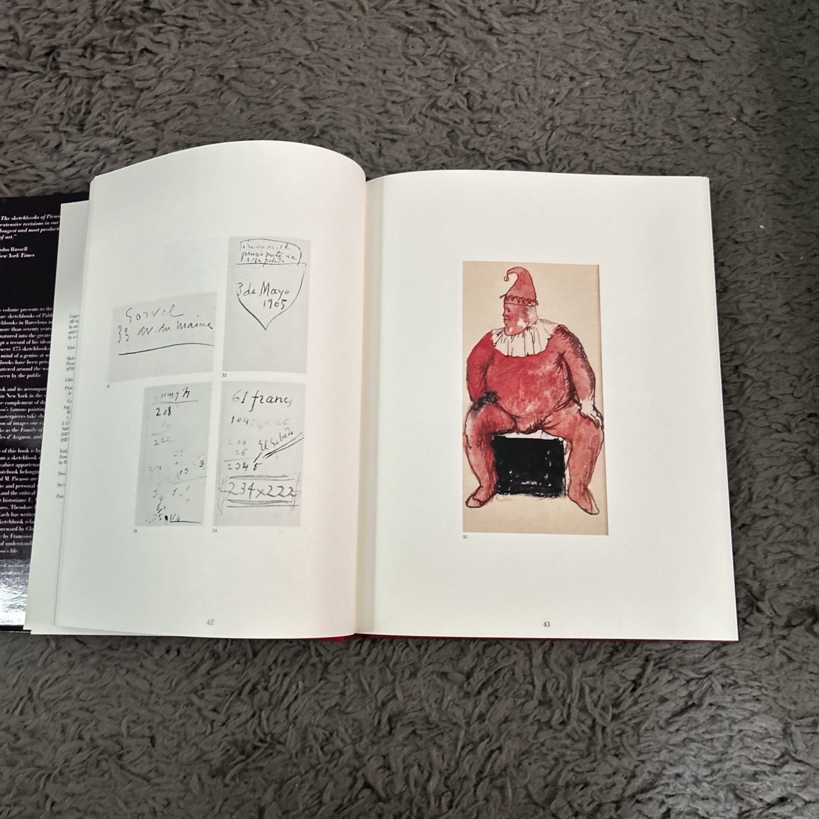 Je Suis Le Cahier The Sketchbooks of Picasso HC/DJ. 1st Ed 1986