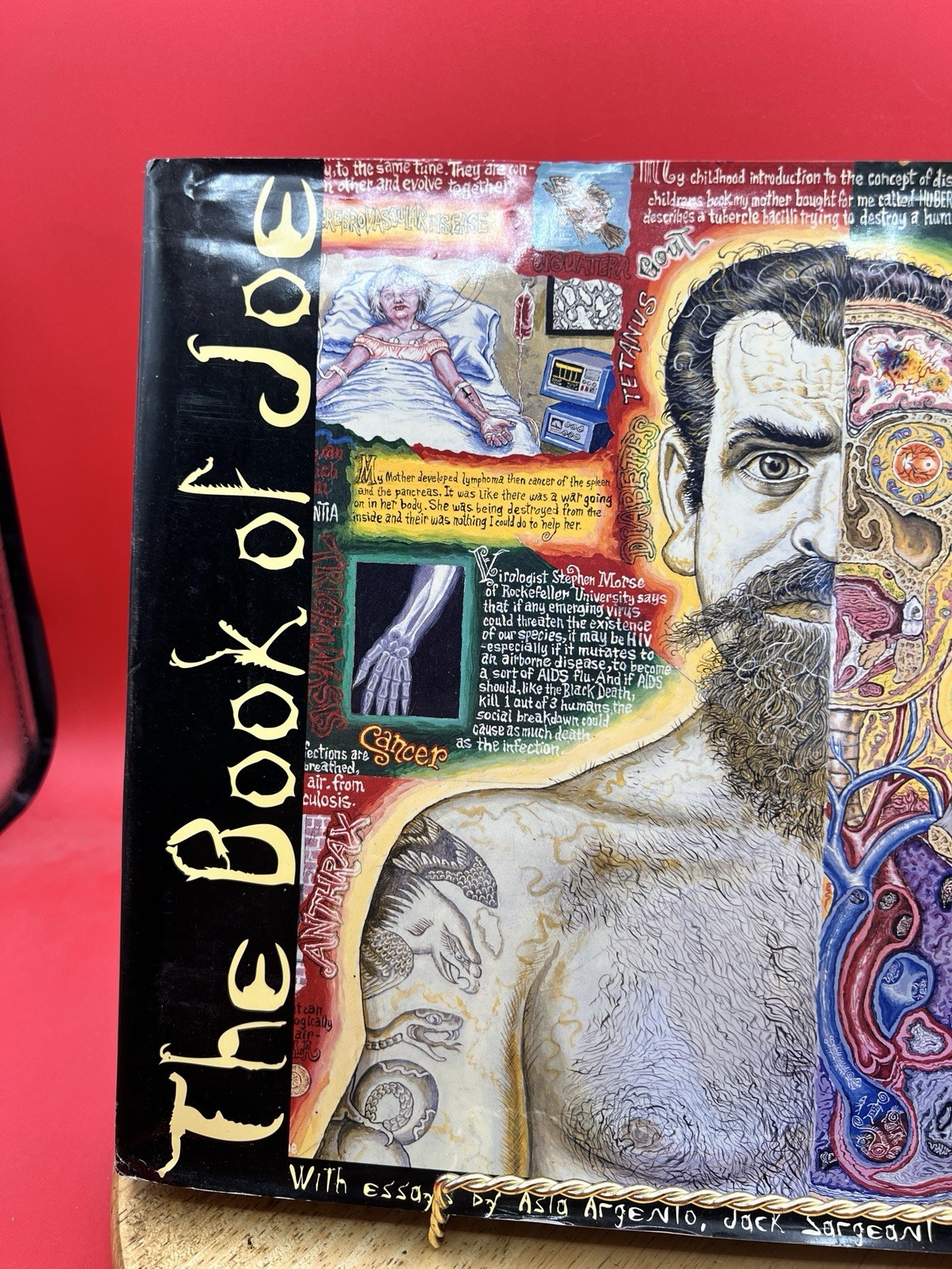 Book of Joe by Joe Coleman (2015, Hardcover)