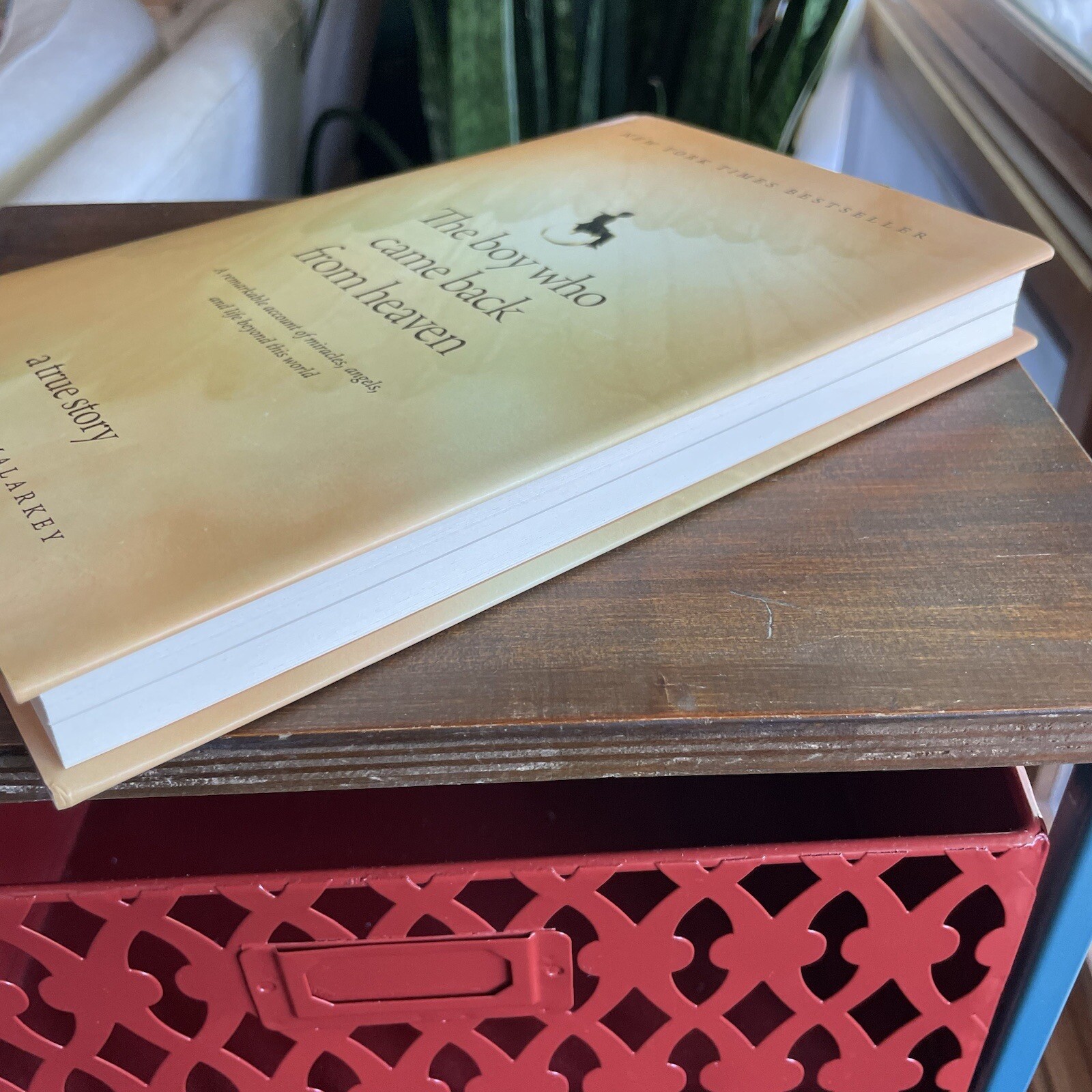 The Boy Who Came Back from Heaven : A Remarkable Account of Miracles, Angels,…