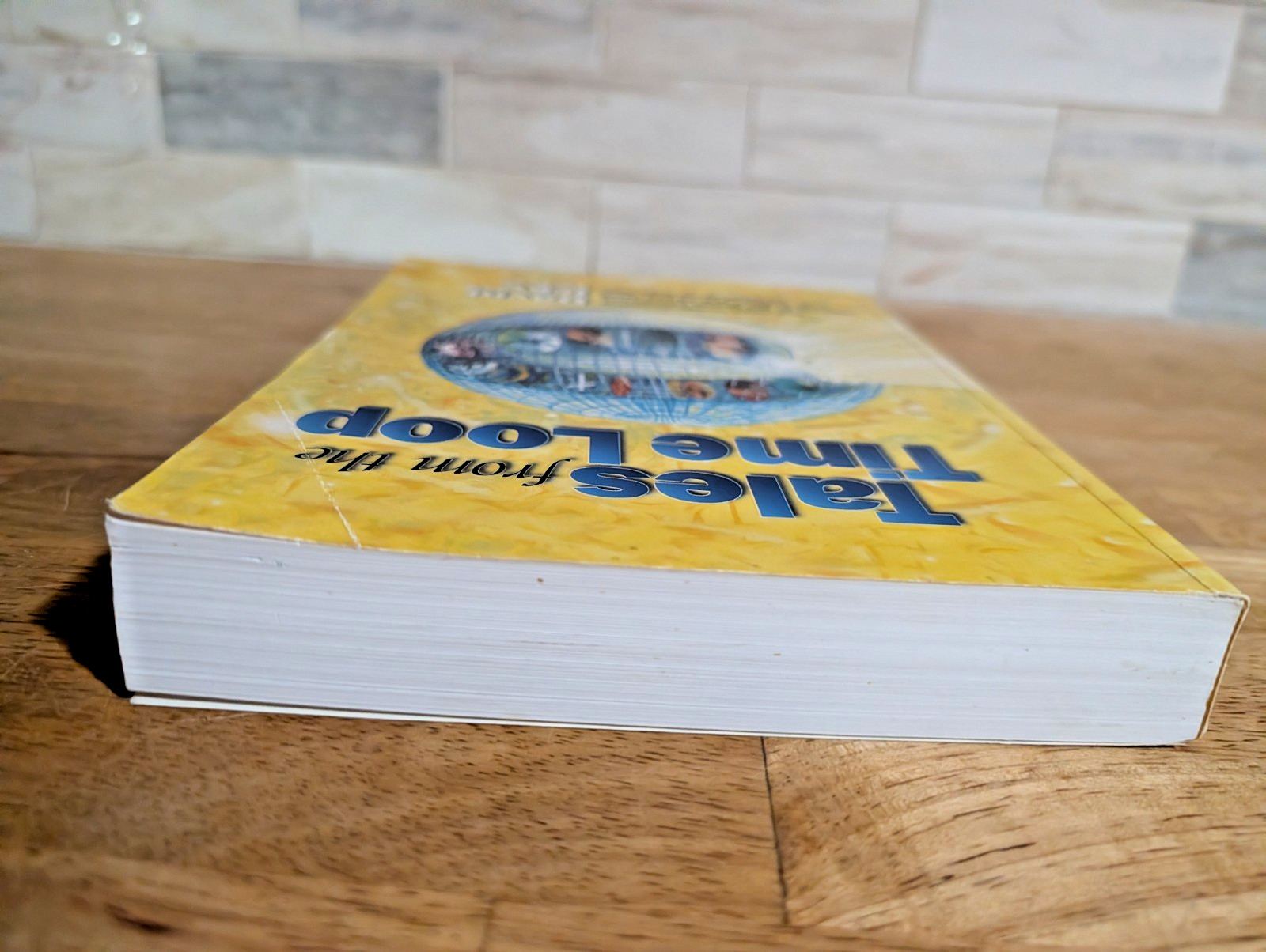 Tales from the Time Loop by David Icke Big Brother Global Conspiracy Book