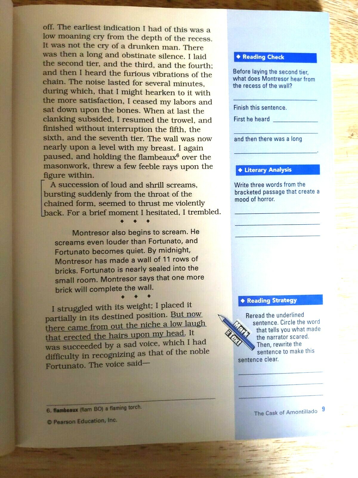 Prentice Hall Literature Gold 9th Grade 9 Workbook Homeschool English Reader LN