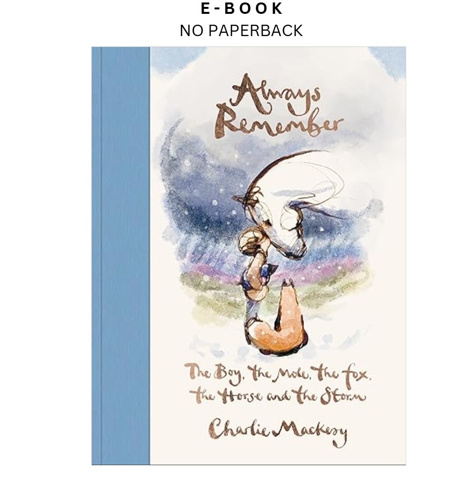 Always Remember: The Boy, the Mole, the Fox, the Horse and t, Charlie Mackesy 20