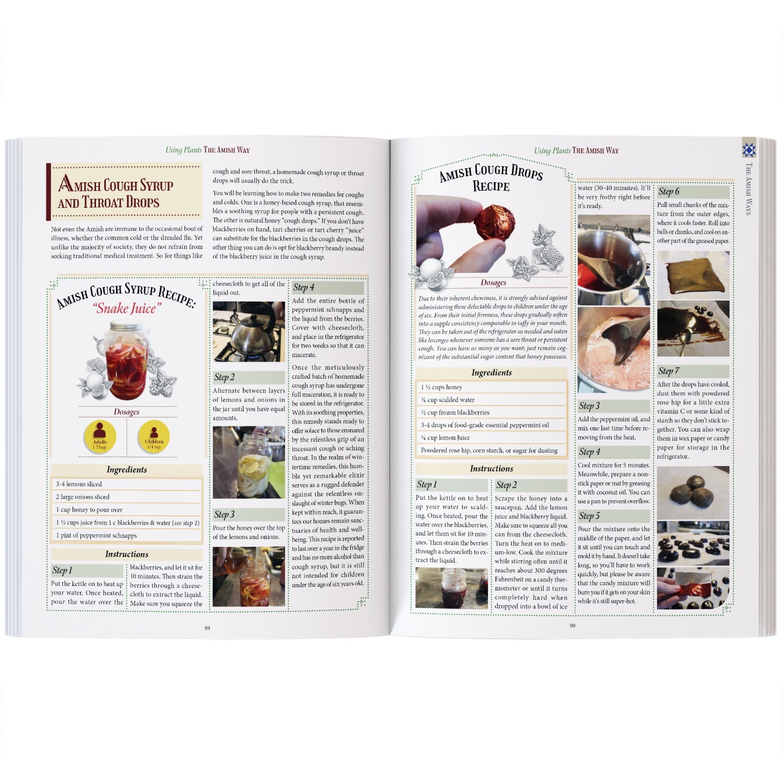 The Amish Ways (paperback with color pictures)