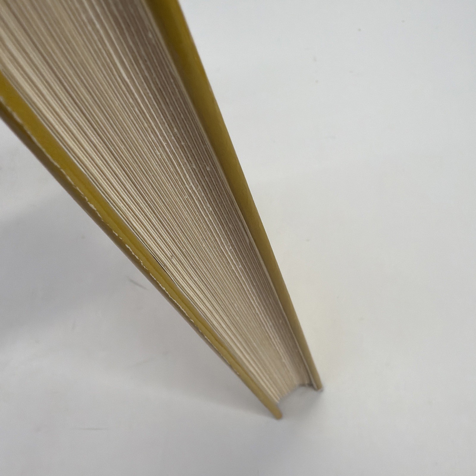 Vintage 1976 Interview With The Vampire Anne Rice First Book Club Edition HCDJ
