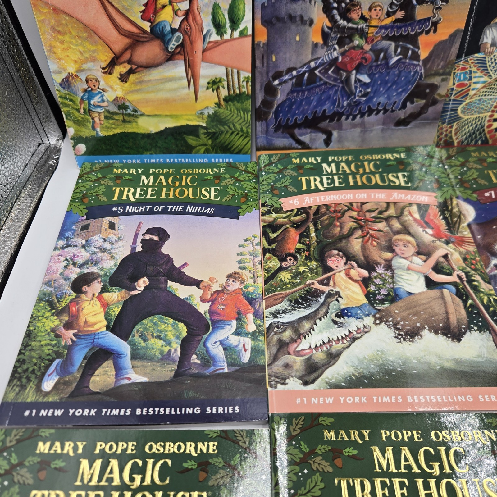 Magic Tree House 12 Book Set Books 1-12