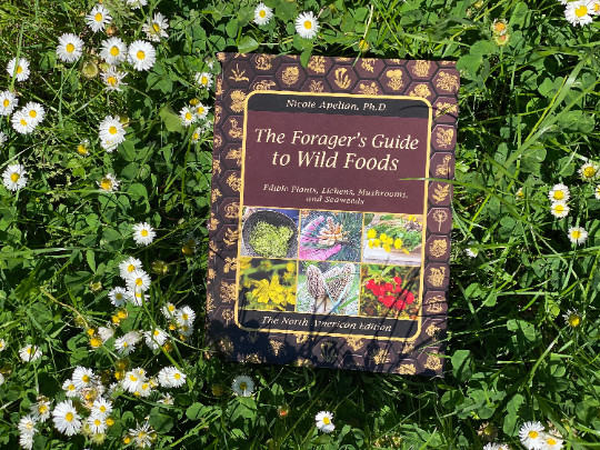 The Forager’s Guide to Wild Foods (paperback with color pictures)
