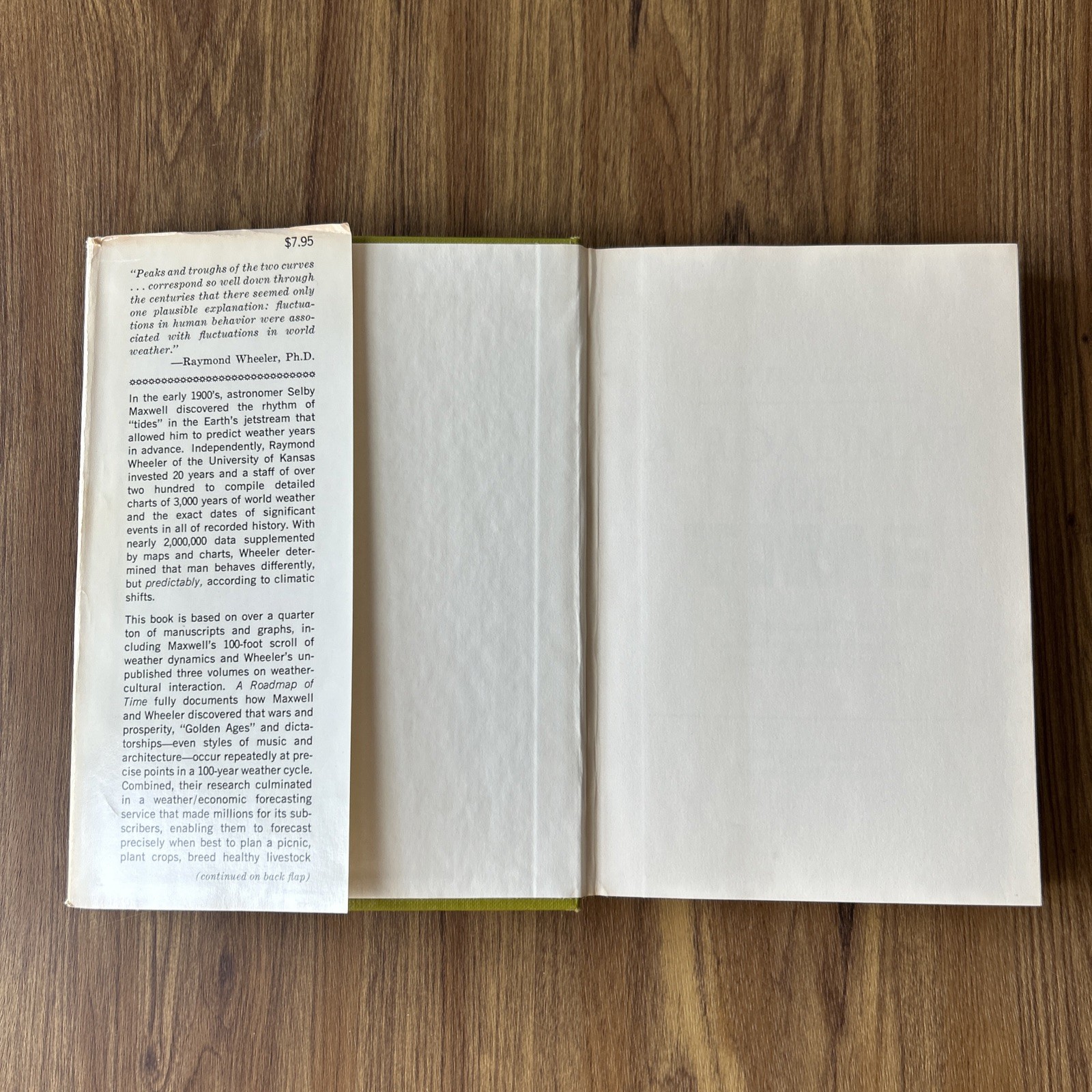 A Roadmap of Time Maxwell/Wheeler Weather-Energy Brad Steiger Vintage Hardcover