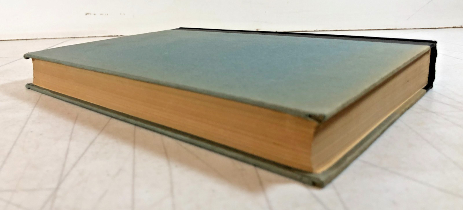 The Human Condition, Hannah Arendt 1958, E-104