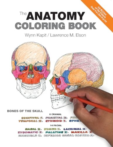 The Anatomy Coloring Book – Paperback By Wynn Kapit – VERY GOOD