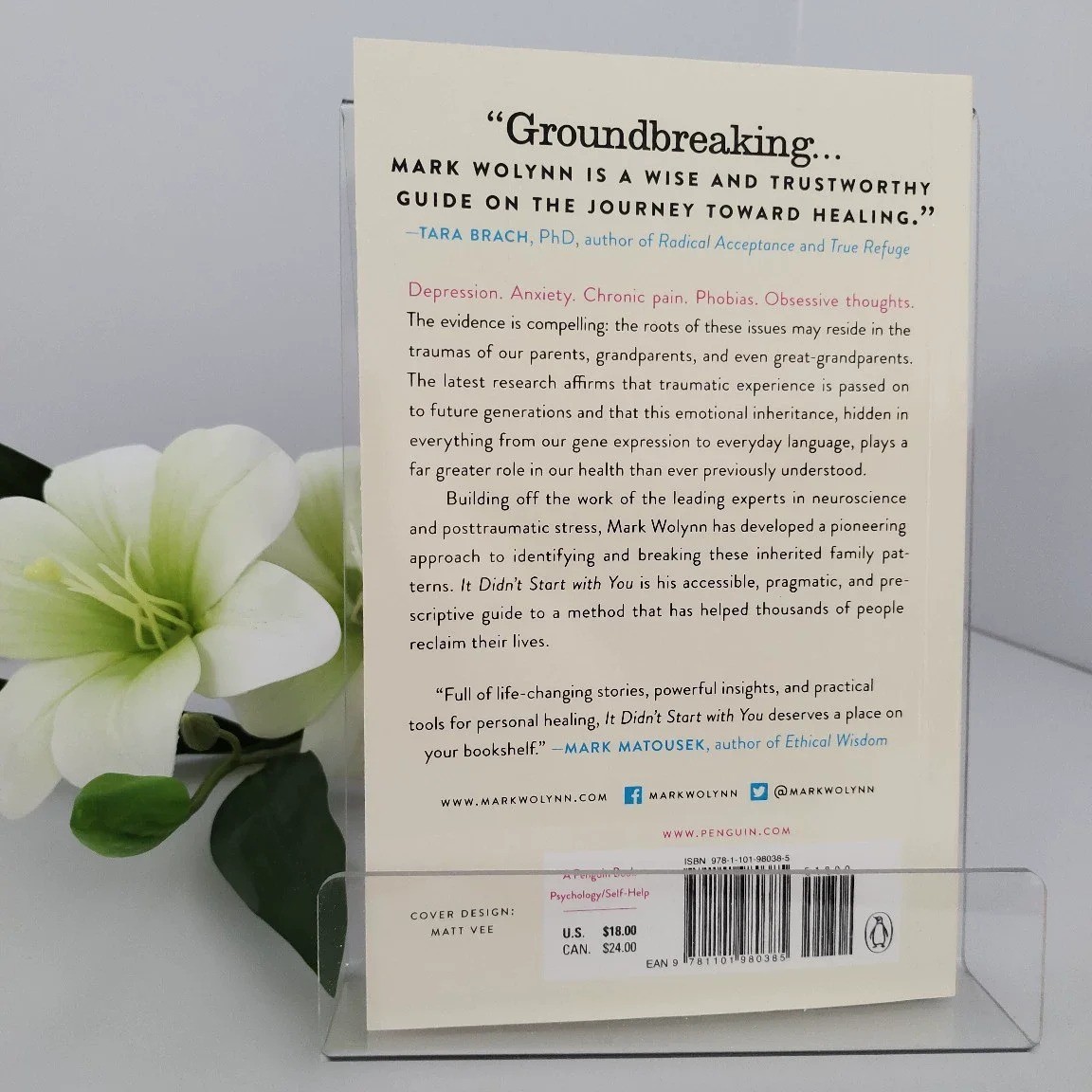It Didn’t Start with You : How Inherited Family Trauma Shapes Who We Are and How