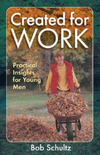 Created for Work: Practical Insights for Young Men – Paperback – GOOD