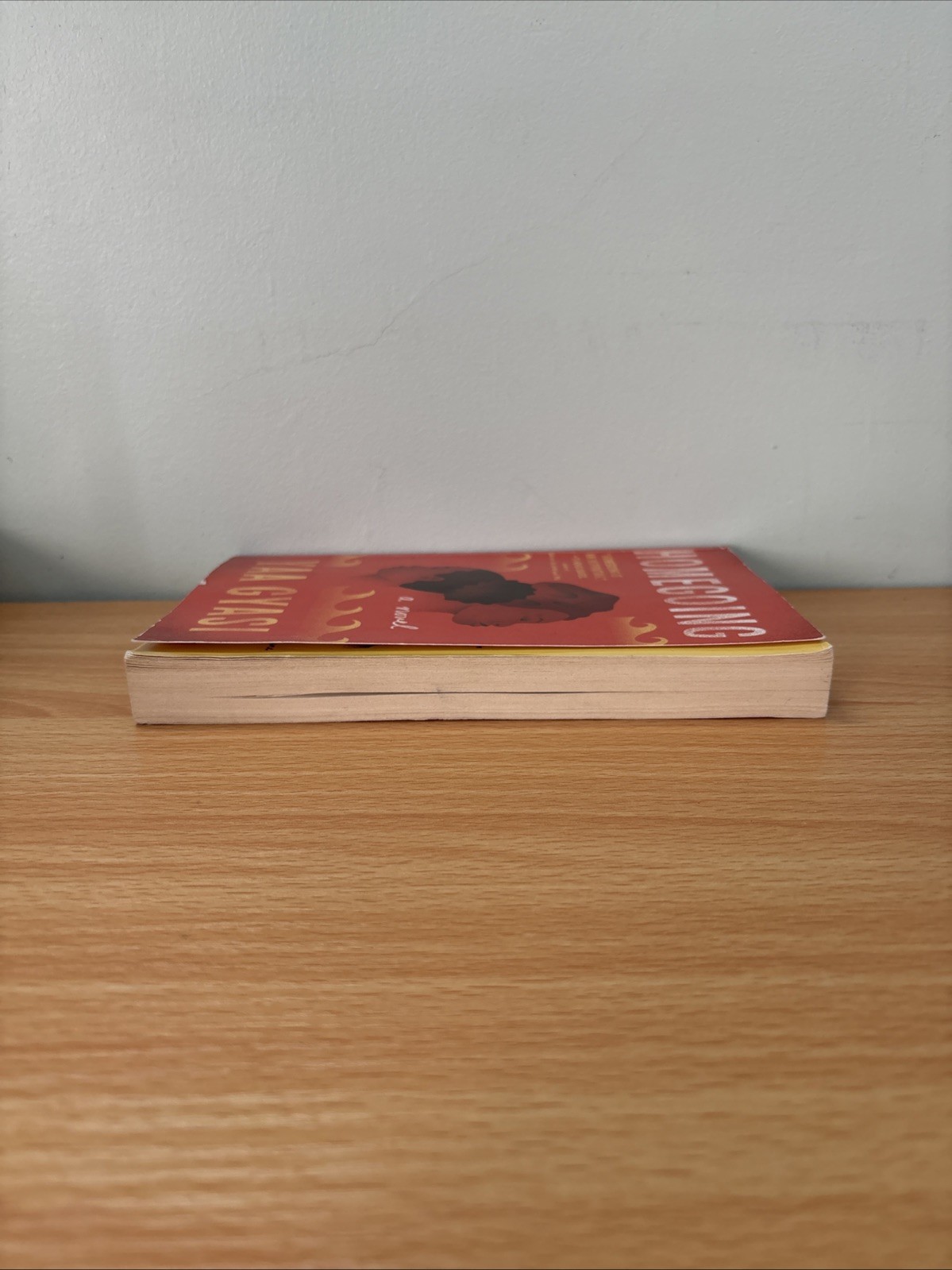Homegoing Paperback Yaa Gyasi 2017 Historical Fiction Novel