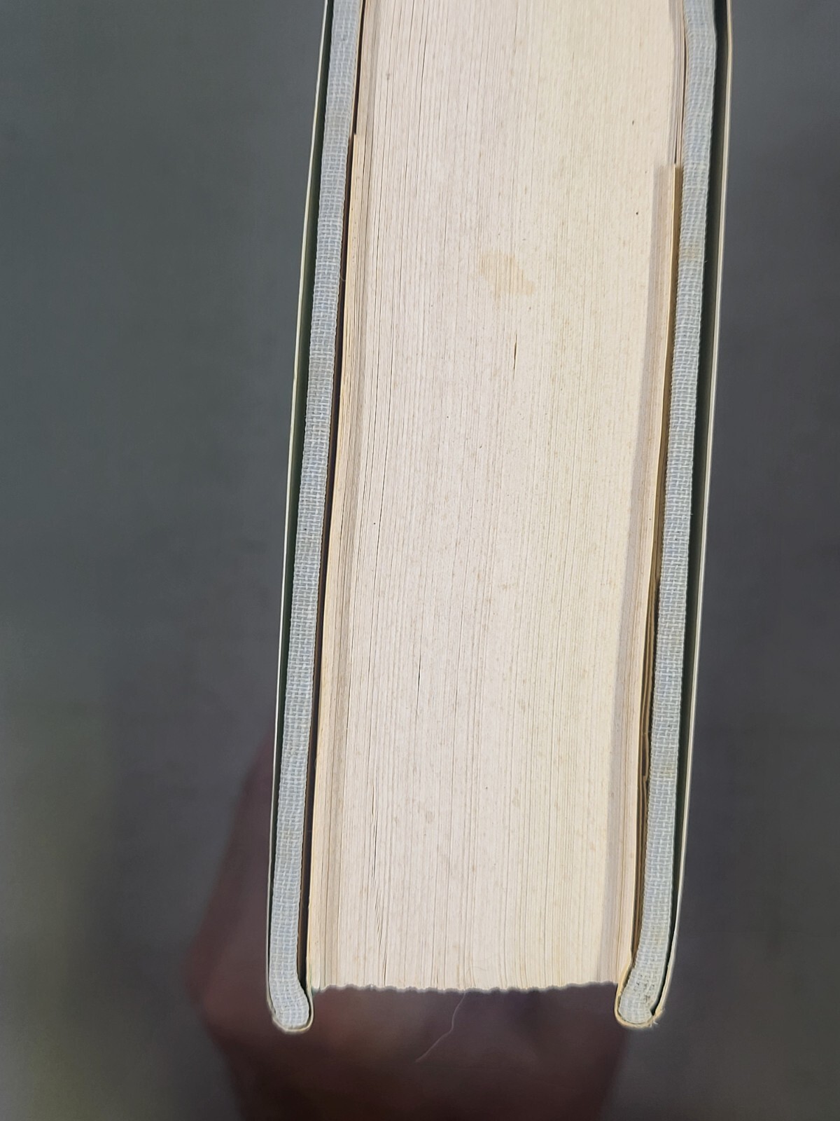 The Borderline Spectrum: Differential Diagnosis and By W. Meissner, 1984 1st Ed.