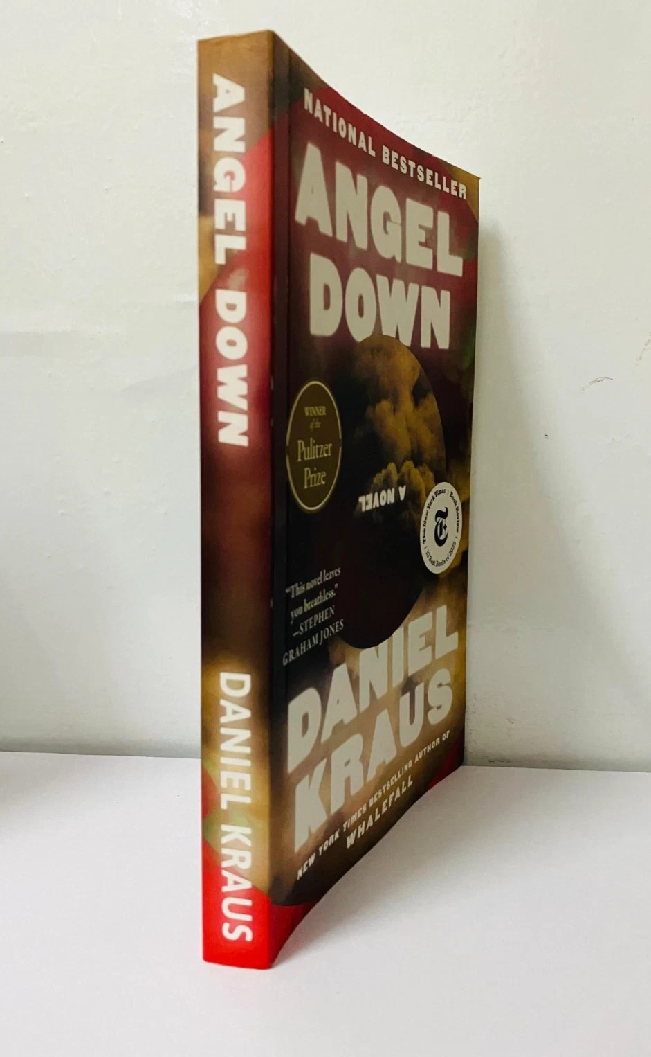 Angel Down: A Novel Paperback – by Daniel Kraus (Author)