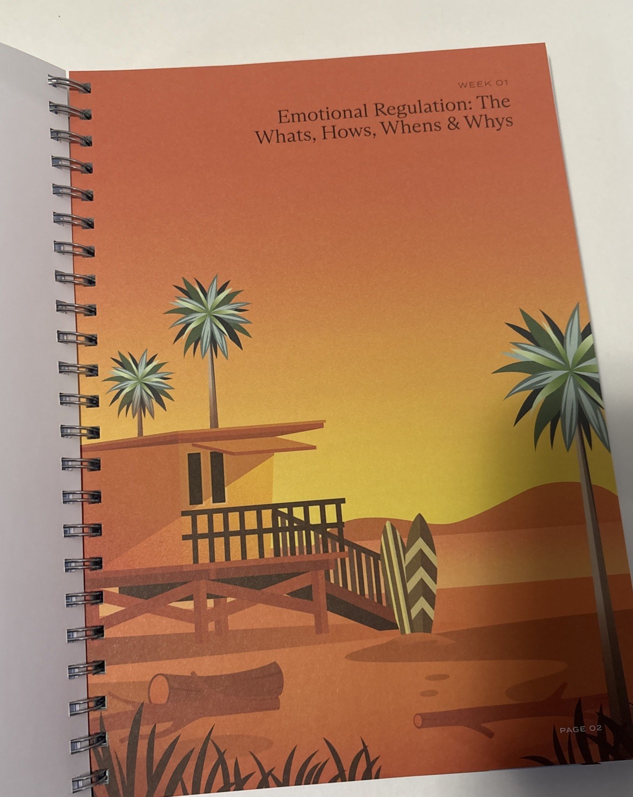 Emotions Spiral-Bound Nine-Week Guide To Emotional Awareness By Switch