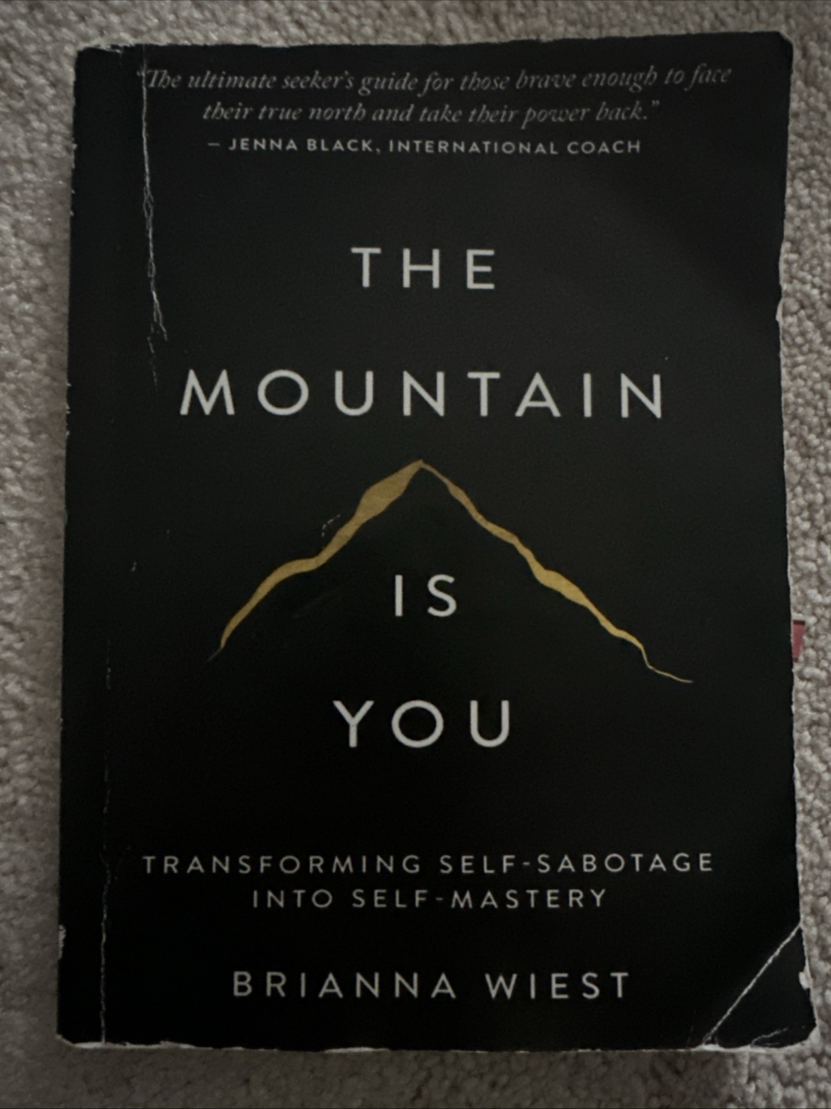 The Mountain is You By Brianna Wiest USA Stock Premium Quality Free Shipping