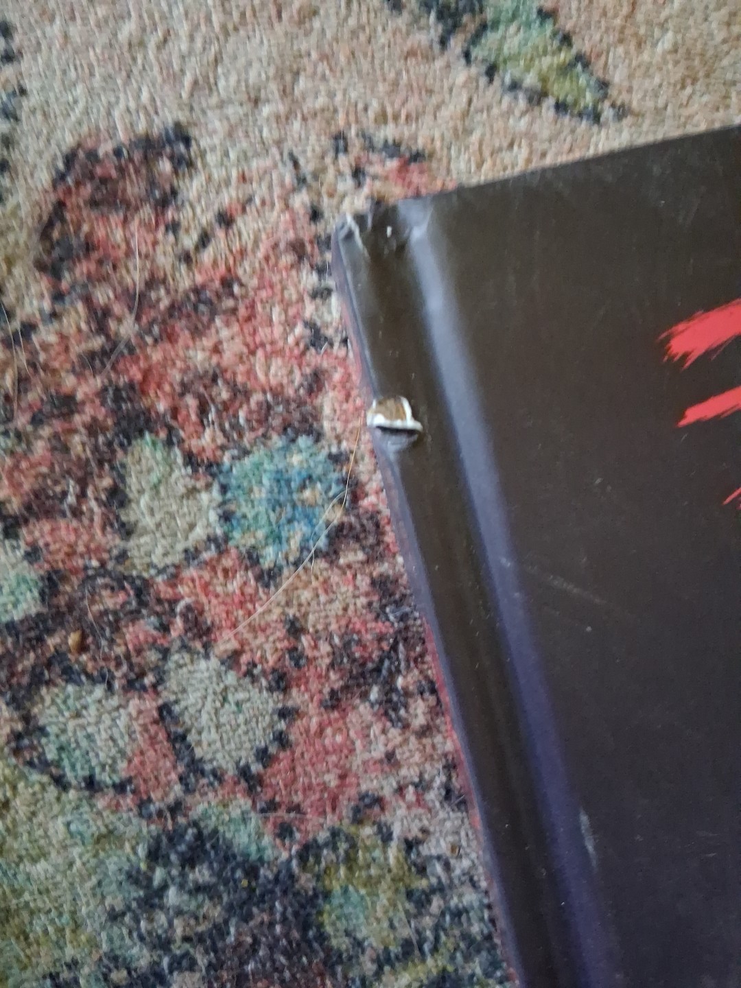 30 Days of Night Deluxe Edition: Book Three Hardcover by Steve Niles