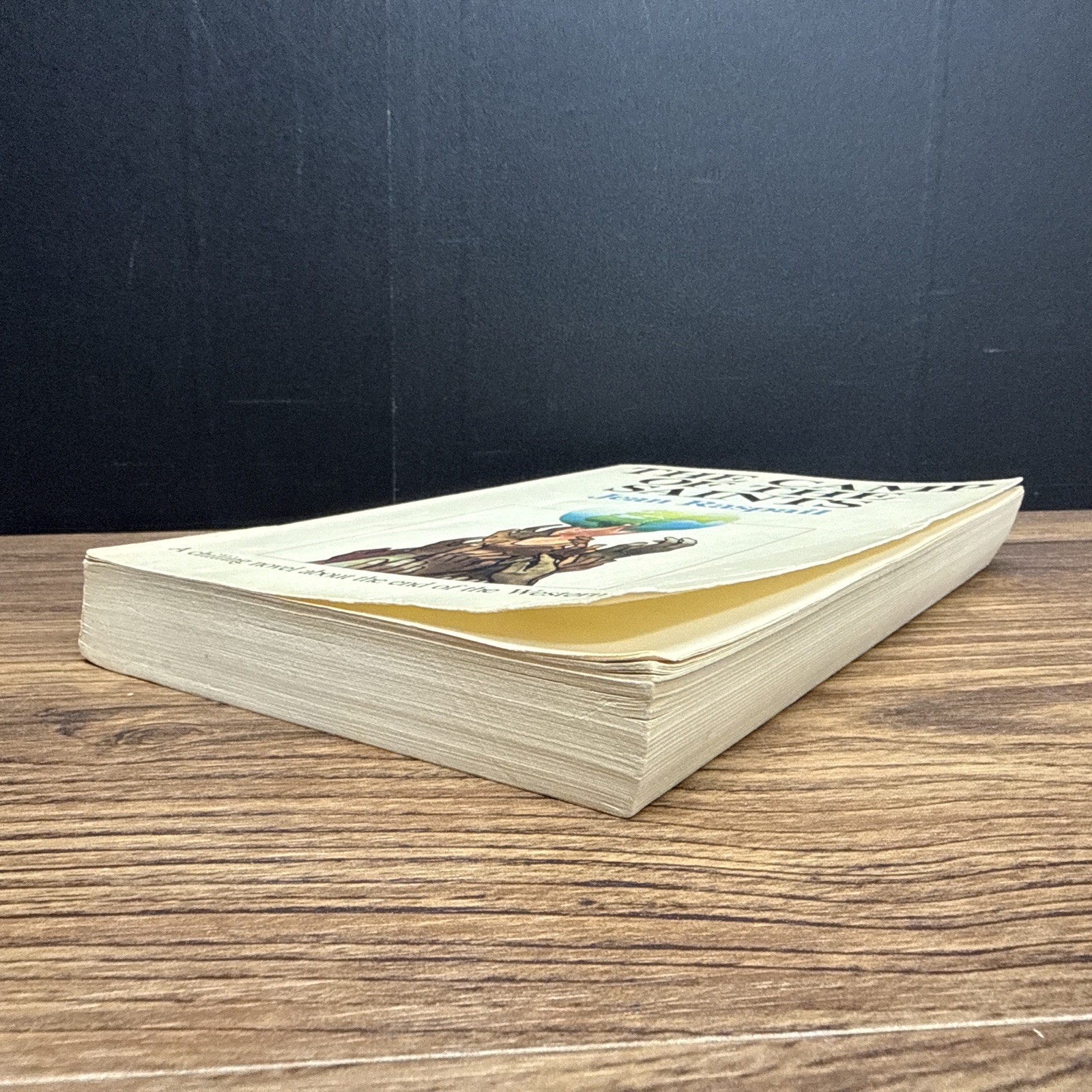 The Camp of the Saints by Jean Raspail ~ 1975 **PAPERBACK**