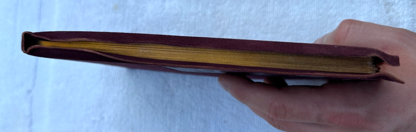 Vintage 1922 The Rubaiyat Of Omar Khayyam Suede Cover Book by Roycrofters w/ Box