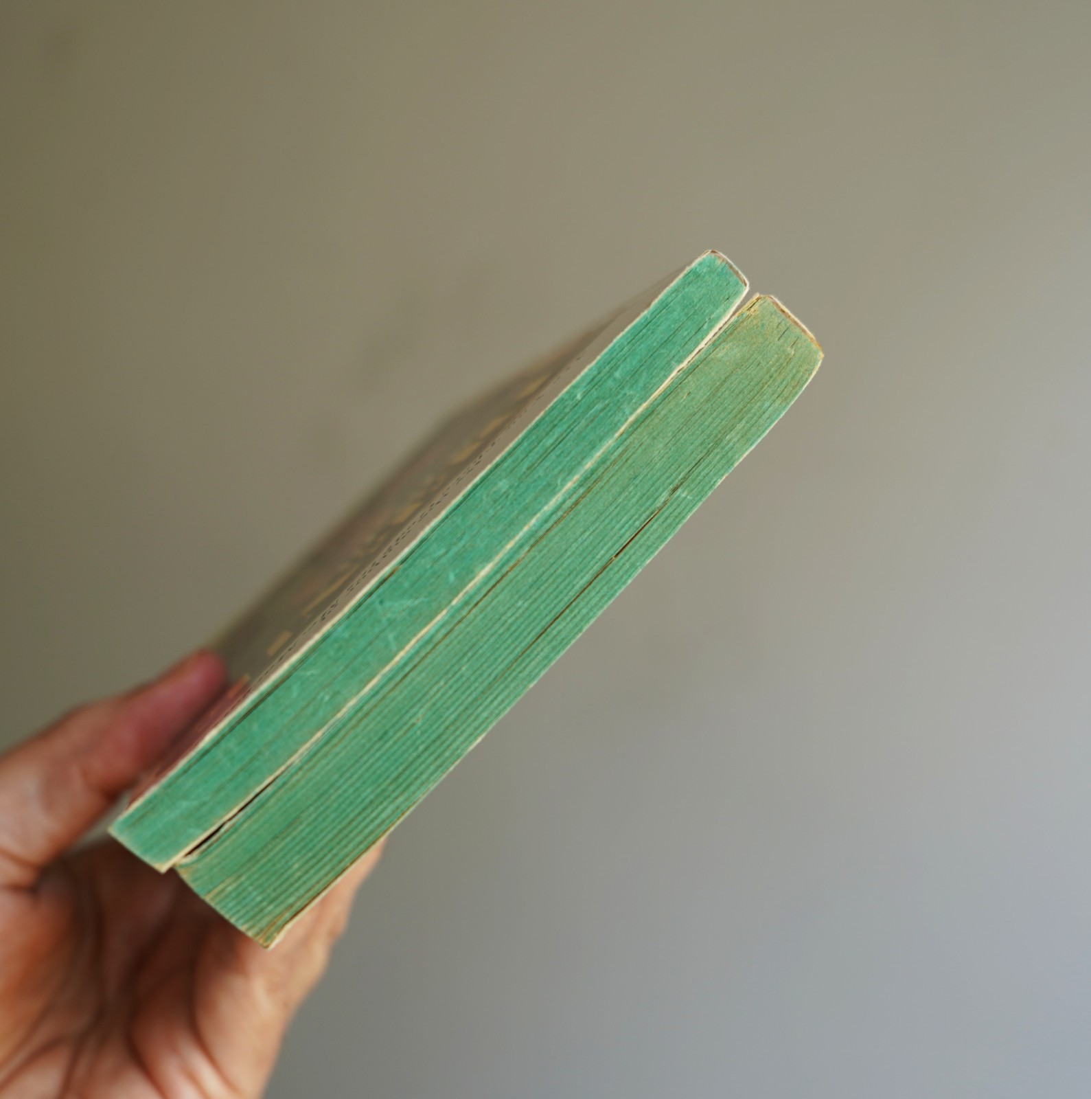 Vintage 1980 JUDY BLUME Starring Sally J. & Deenie Young Adults PB Books
